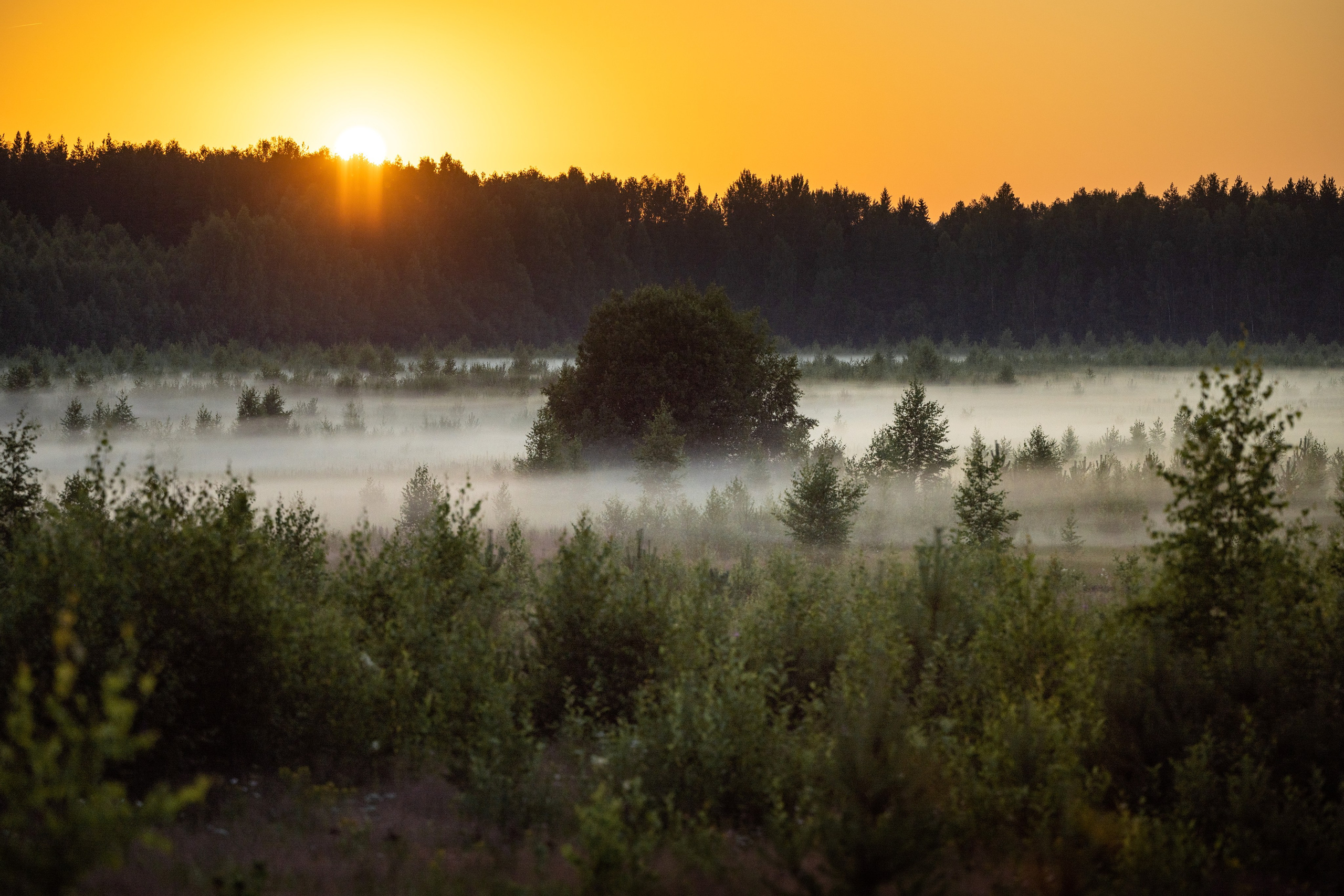 Природные пейзажи. Наталия Клевинскас портретный фотограф в Костроме