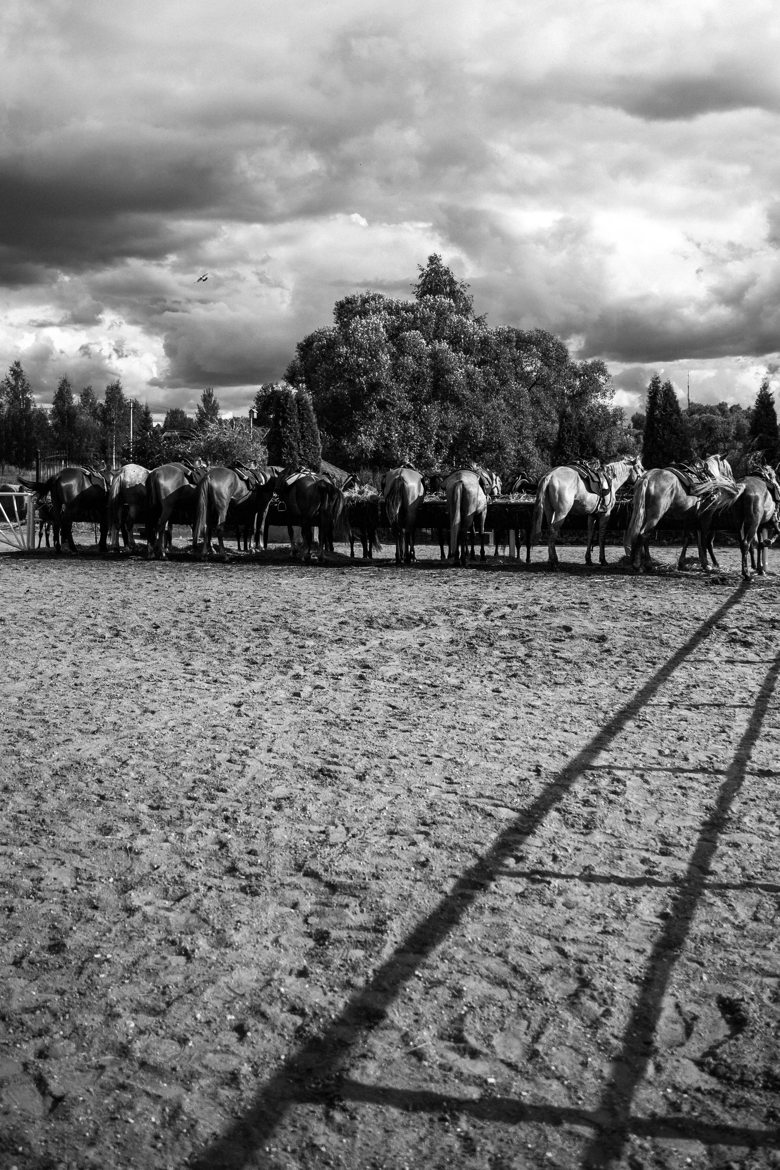 Дикий, дикий Запад. корпоратив компании «Европарк». Студийный и свадебный фотограф в Москве Айк Саркисян