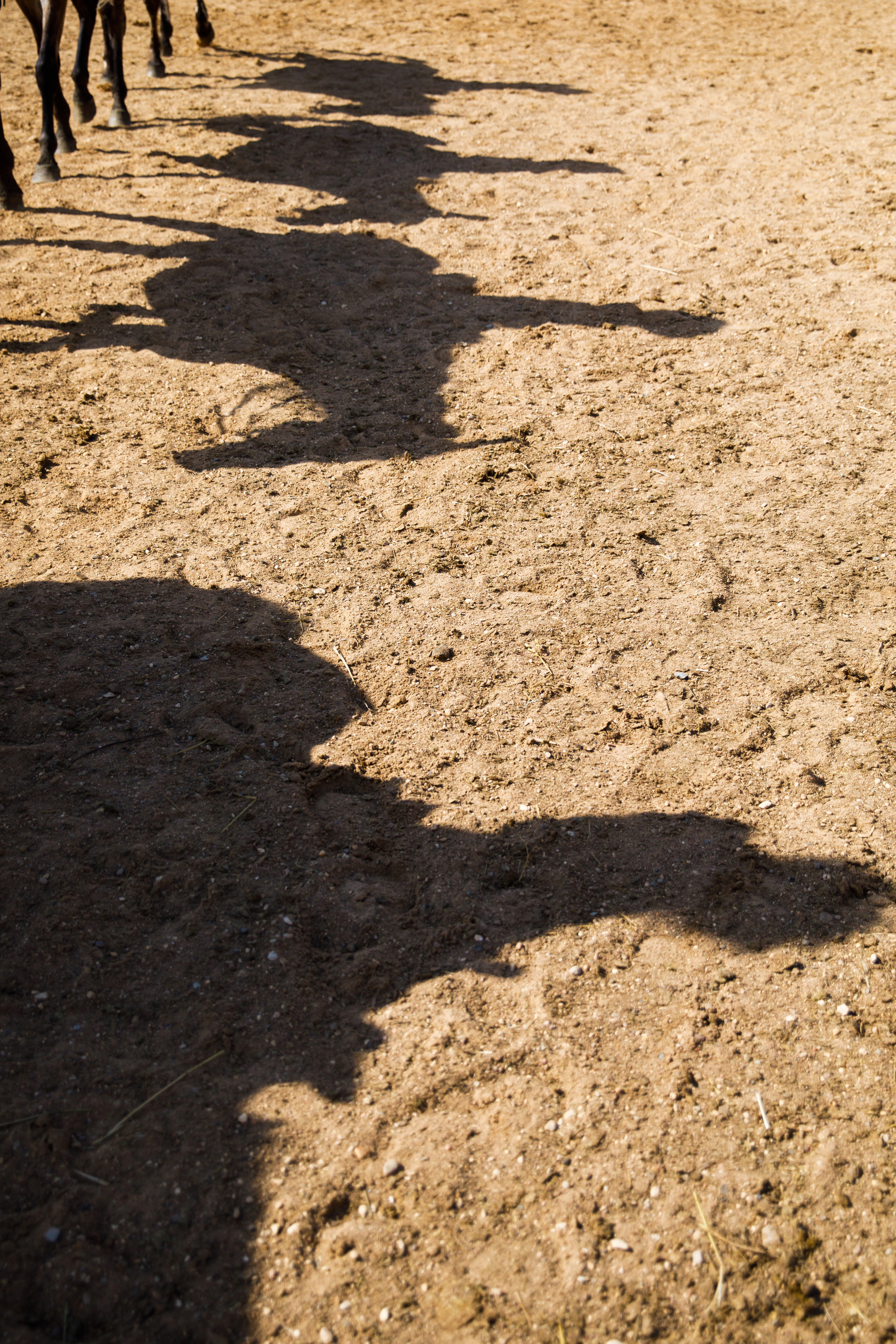 Дикий, дикий Запад. корпоратив компании «Европарк». Студийный и свадебный фотограф в Москве Айк Саркисян