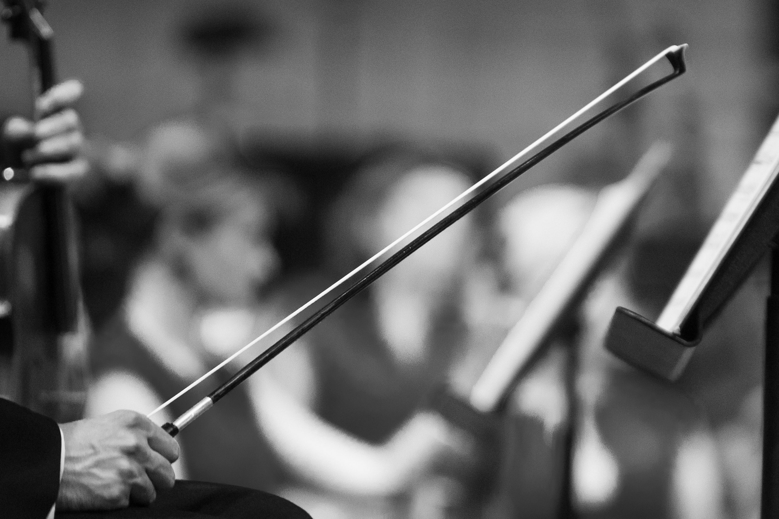 Московский международный Дом музыки. Студийный и свадебный фотограф в Москве Айк Саркисян