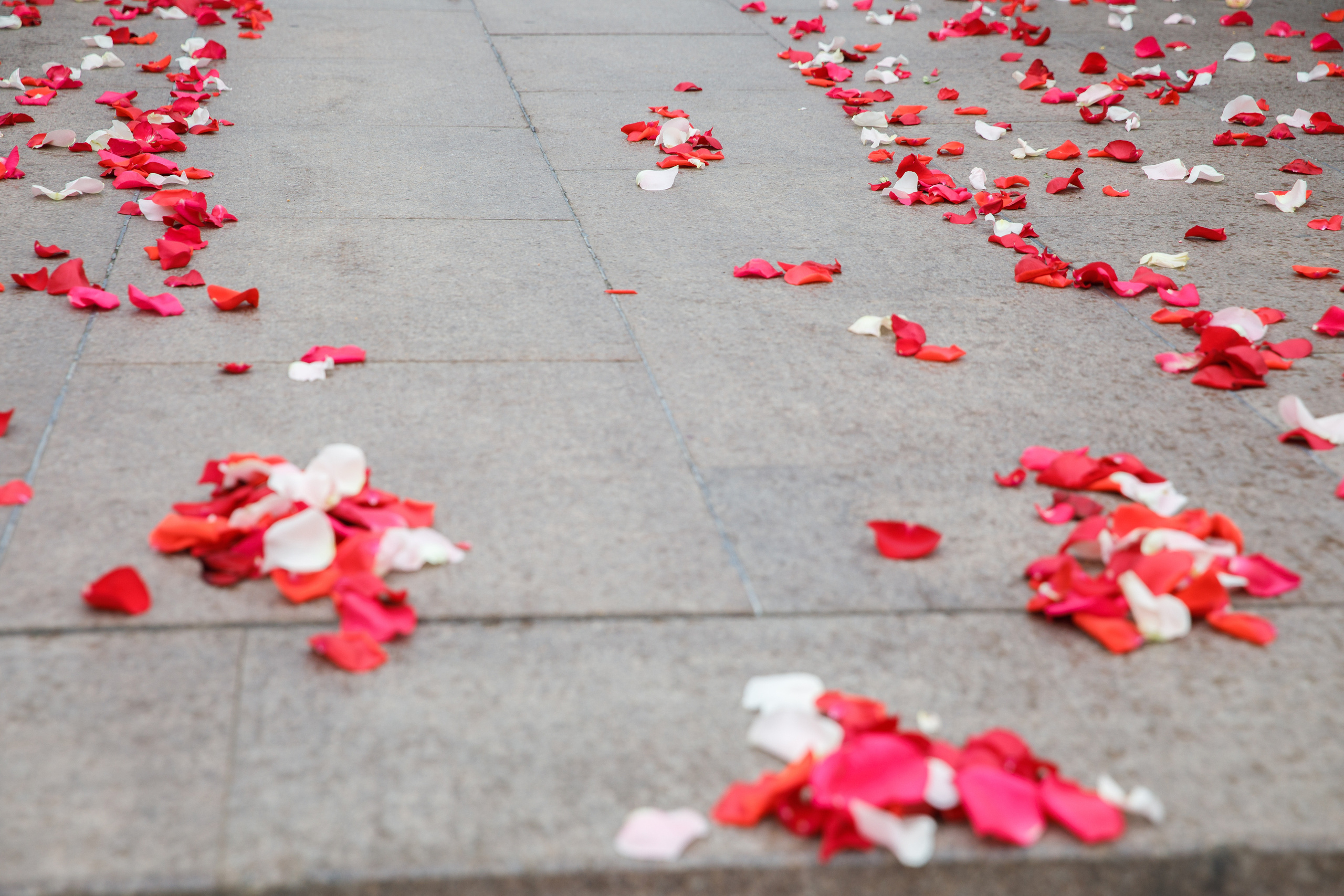 Карен & Мадлен. Студийный и свадебный фотограф в Москве Айк Саркисян