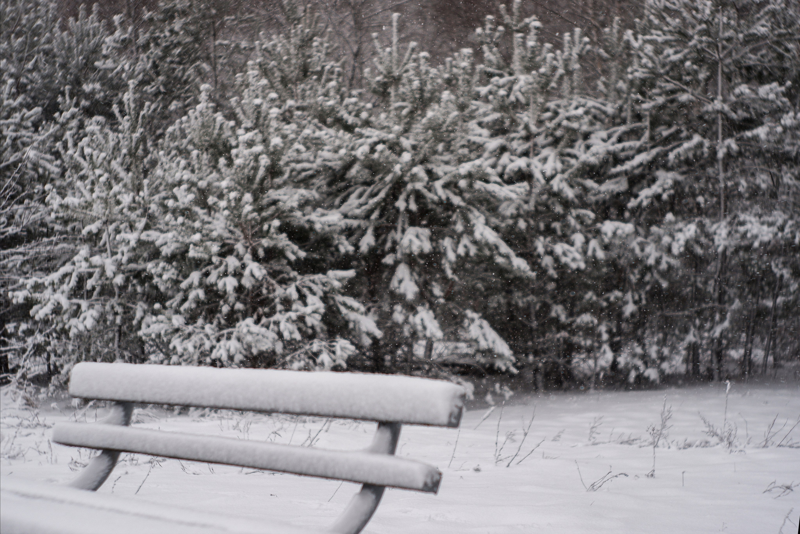 ЧБ  пейзажи (BnW landscape). Фотограф (photographer) Lischinski Vitaliy