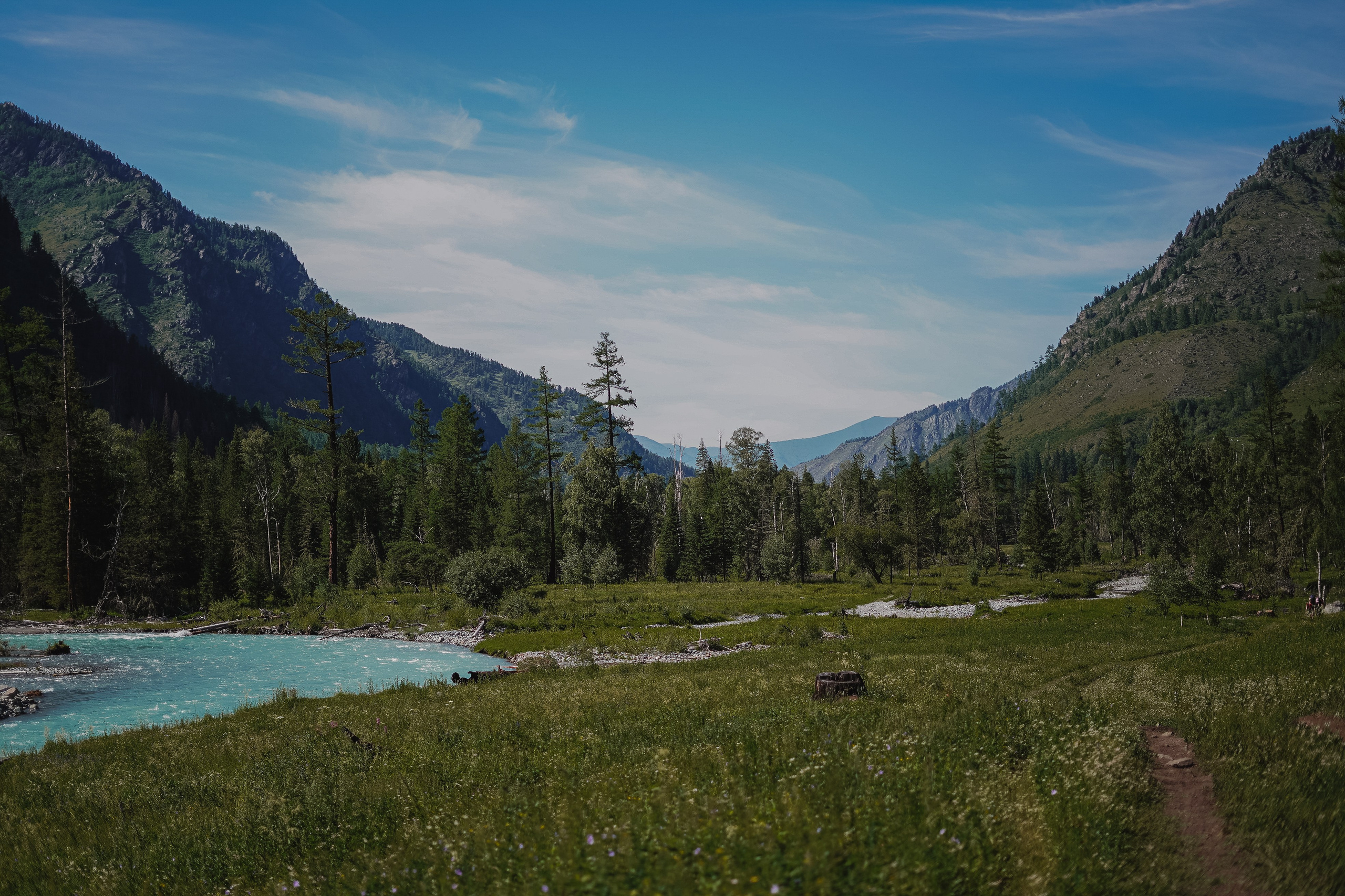 Алтай, поход к Белухе 2023. Фотограф Ольга Пучкова