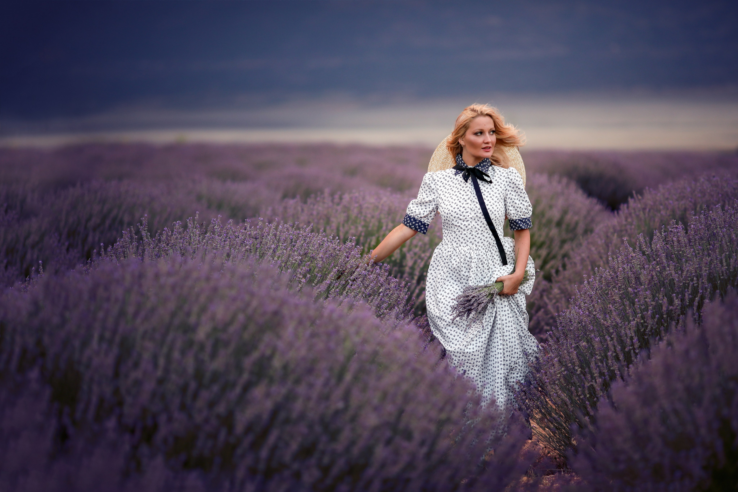 Lavender fields in Turkey