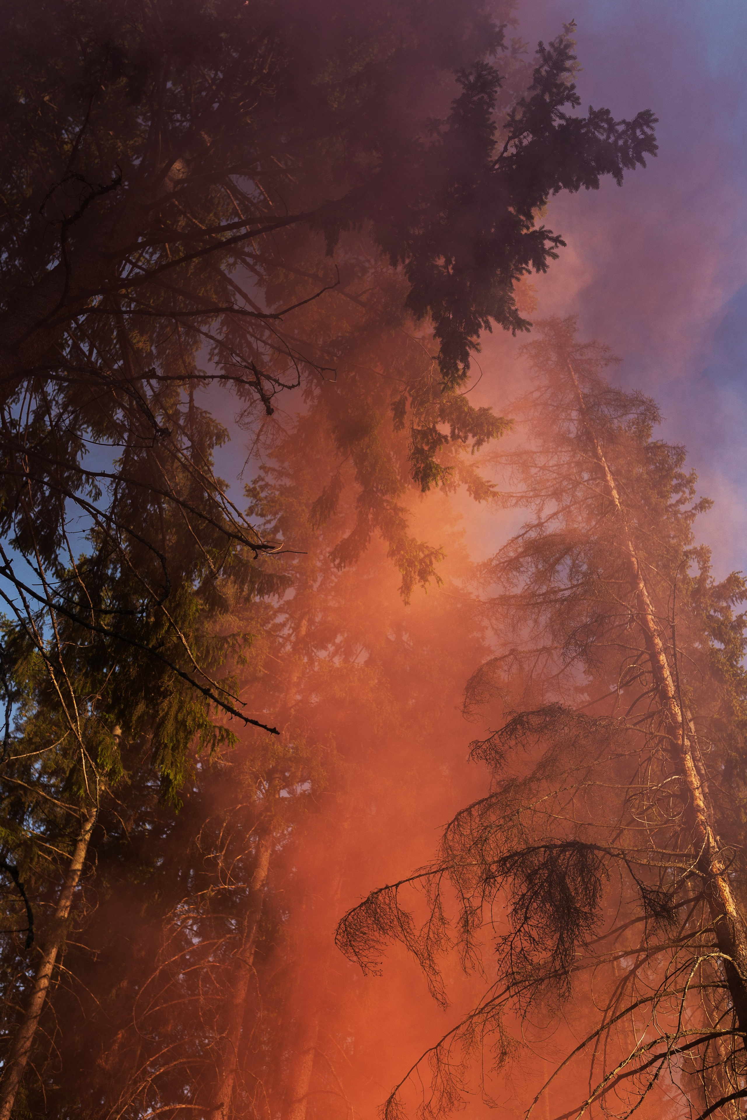Согдиана и Алексей. Фотограф Алина Кучумова