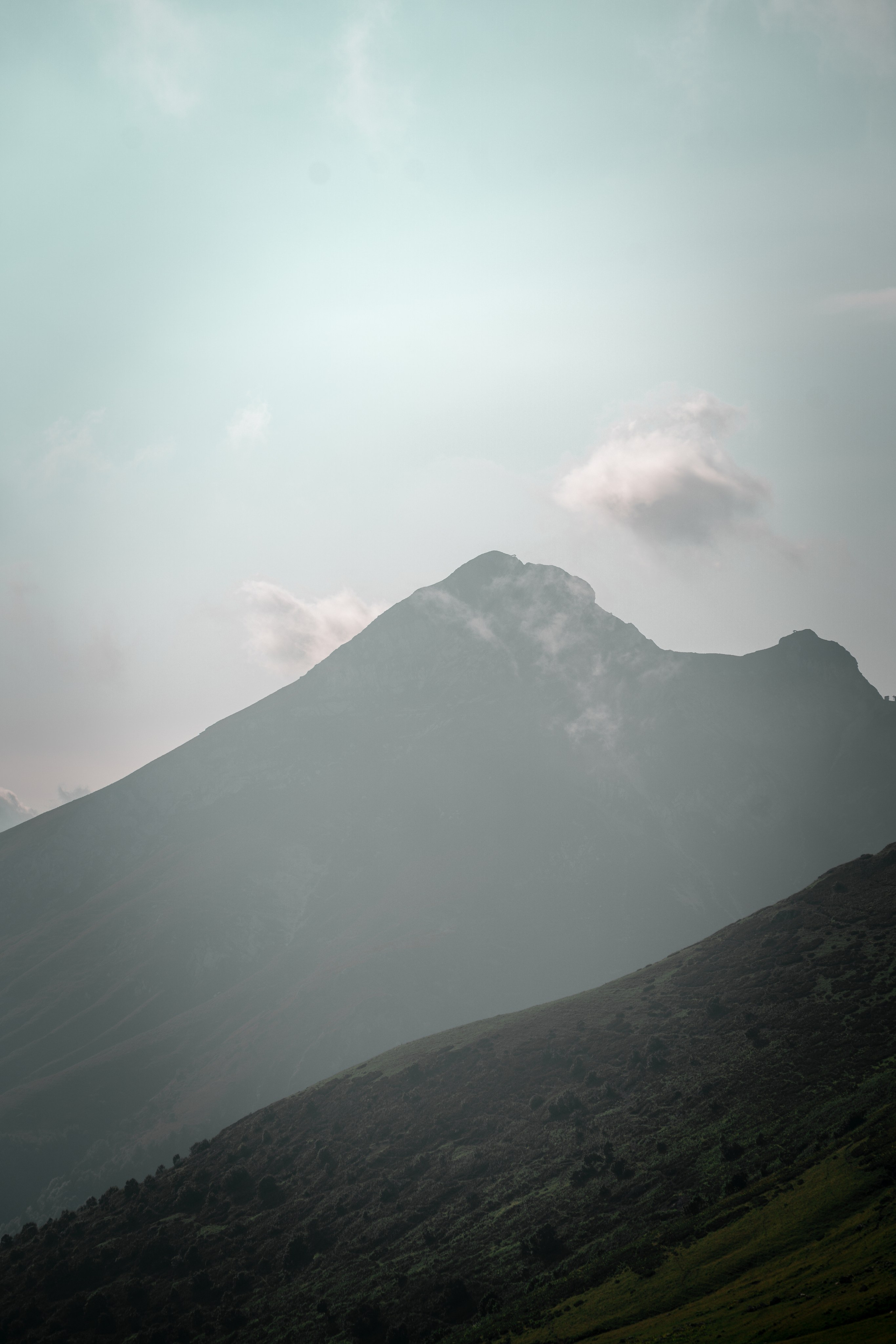 Сочи. Фотограф Александра Волкова | Волгоград