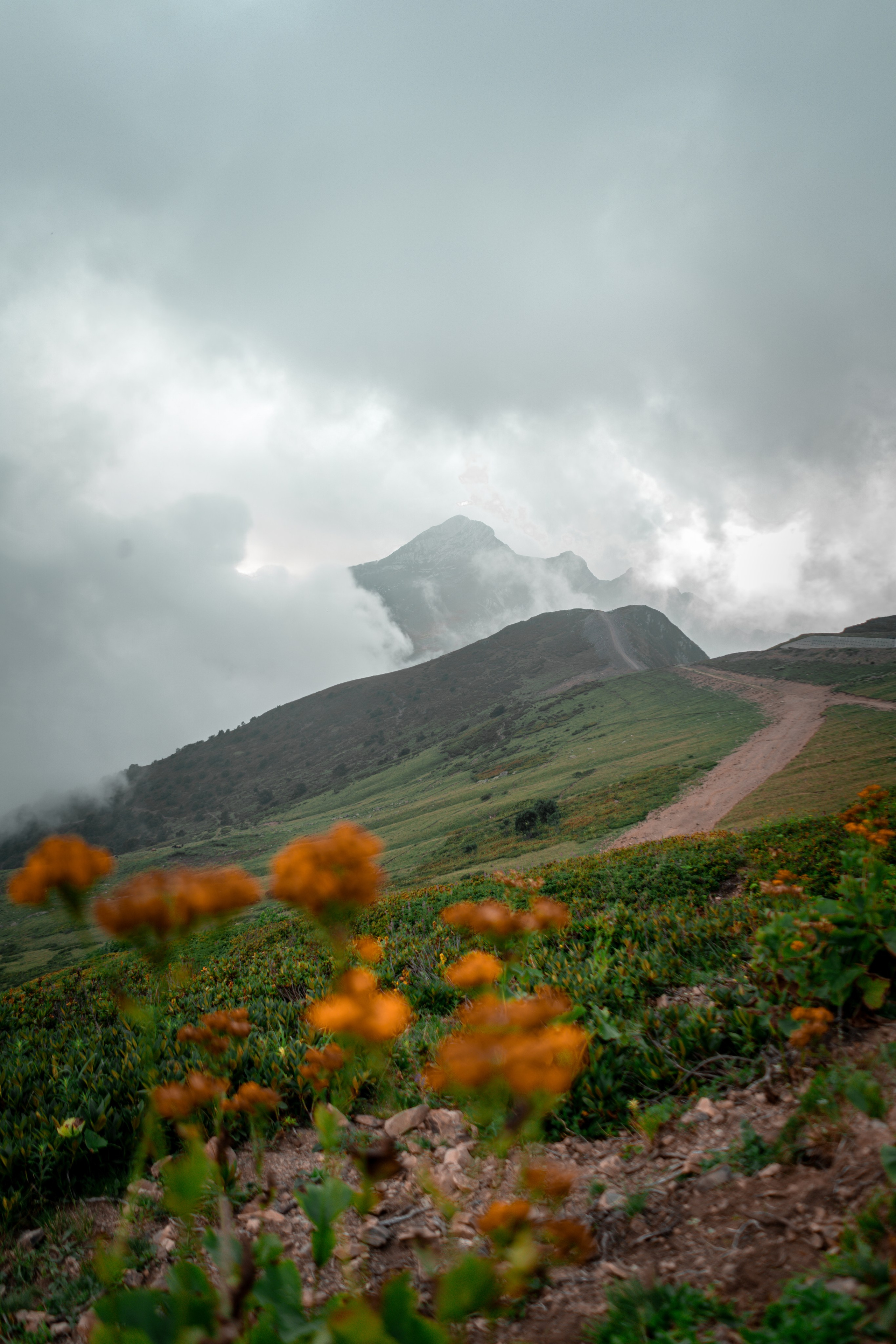 Сочи. Фотограф Александра Волкова | Волгоград