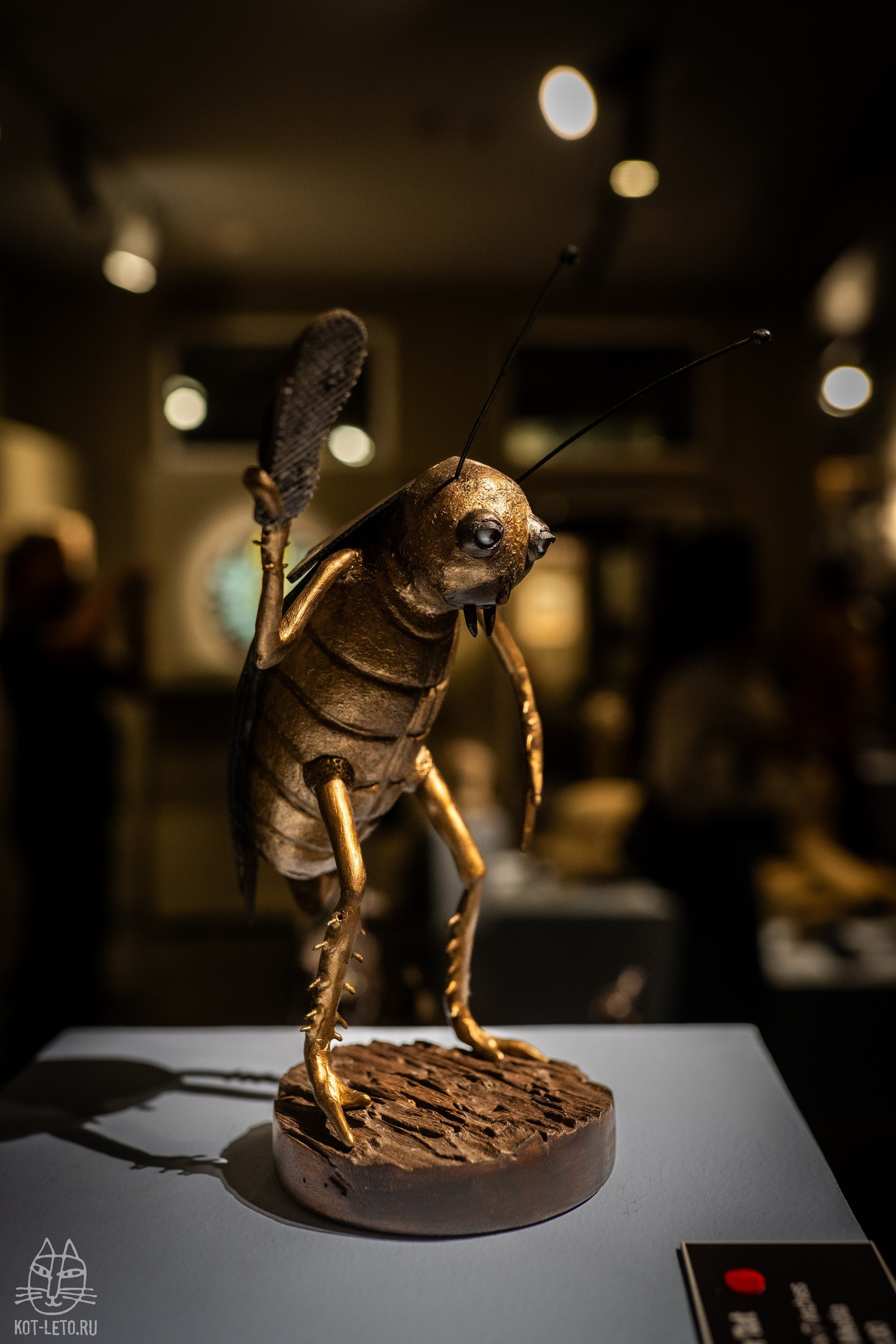 Exhibition BIOPHILIA (Goa). Твой фотограф — Полосатый кот