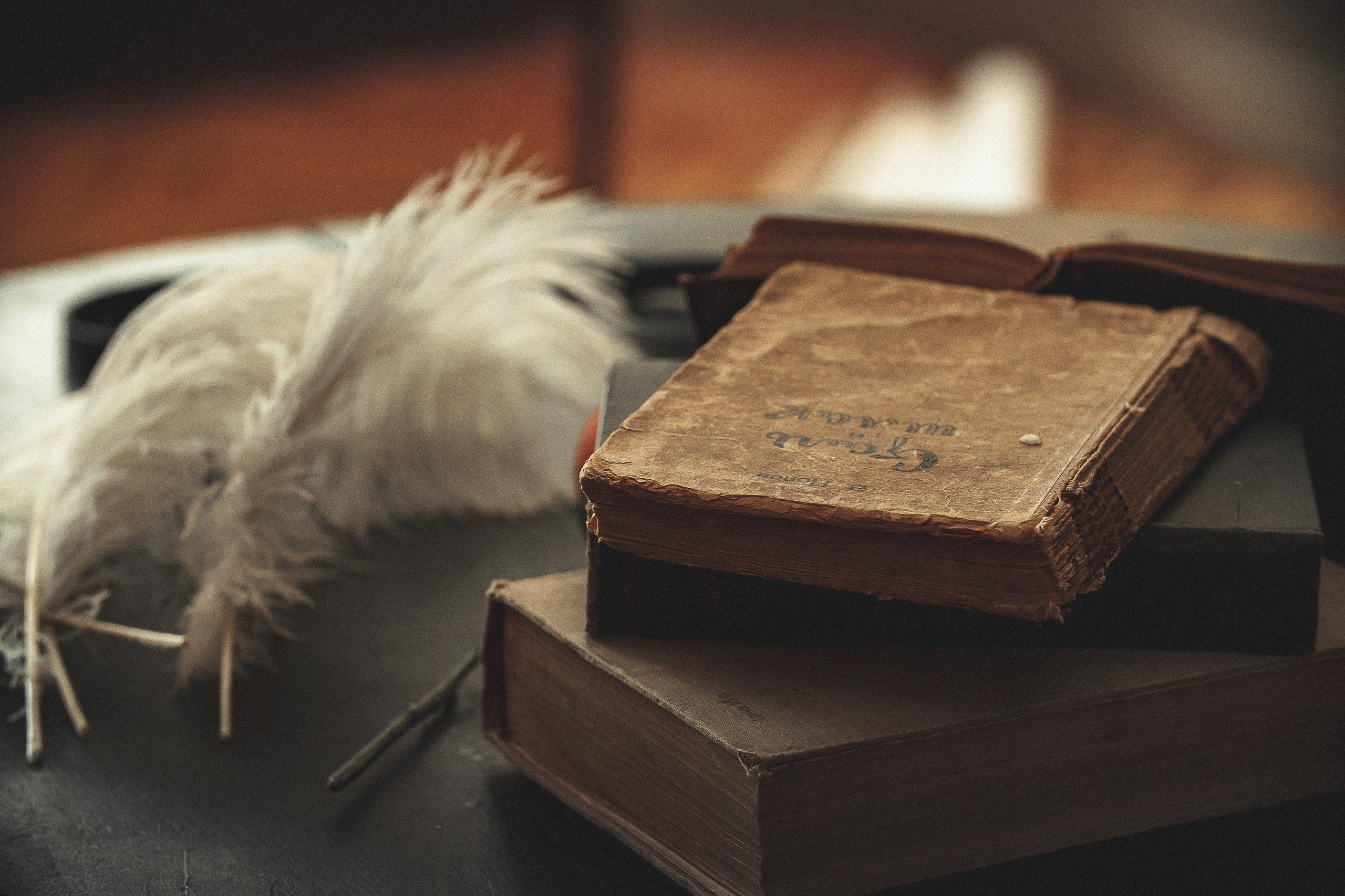 Роман и Анна. Фотограф и фотохудожник