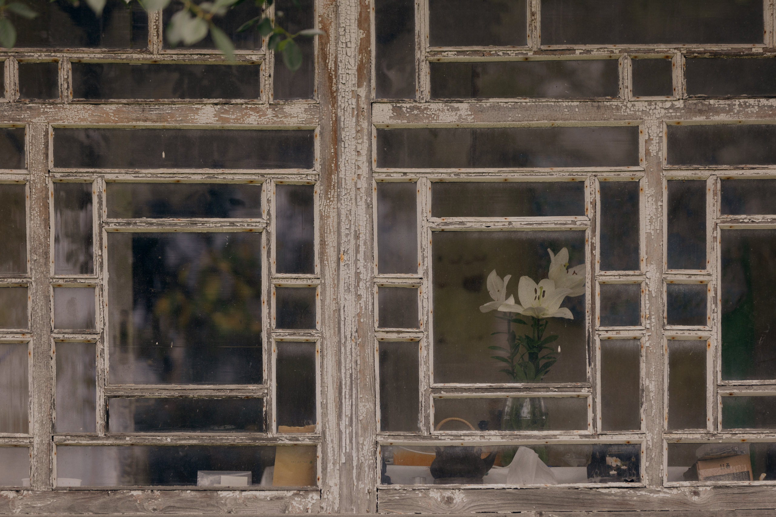 На ферме. @dariazphoto свадебный фотограф