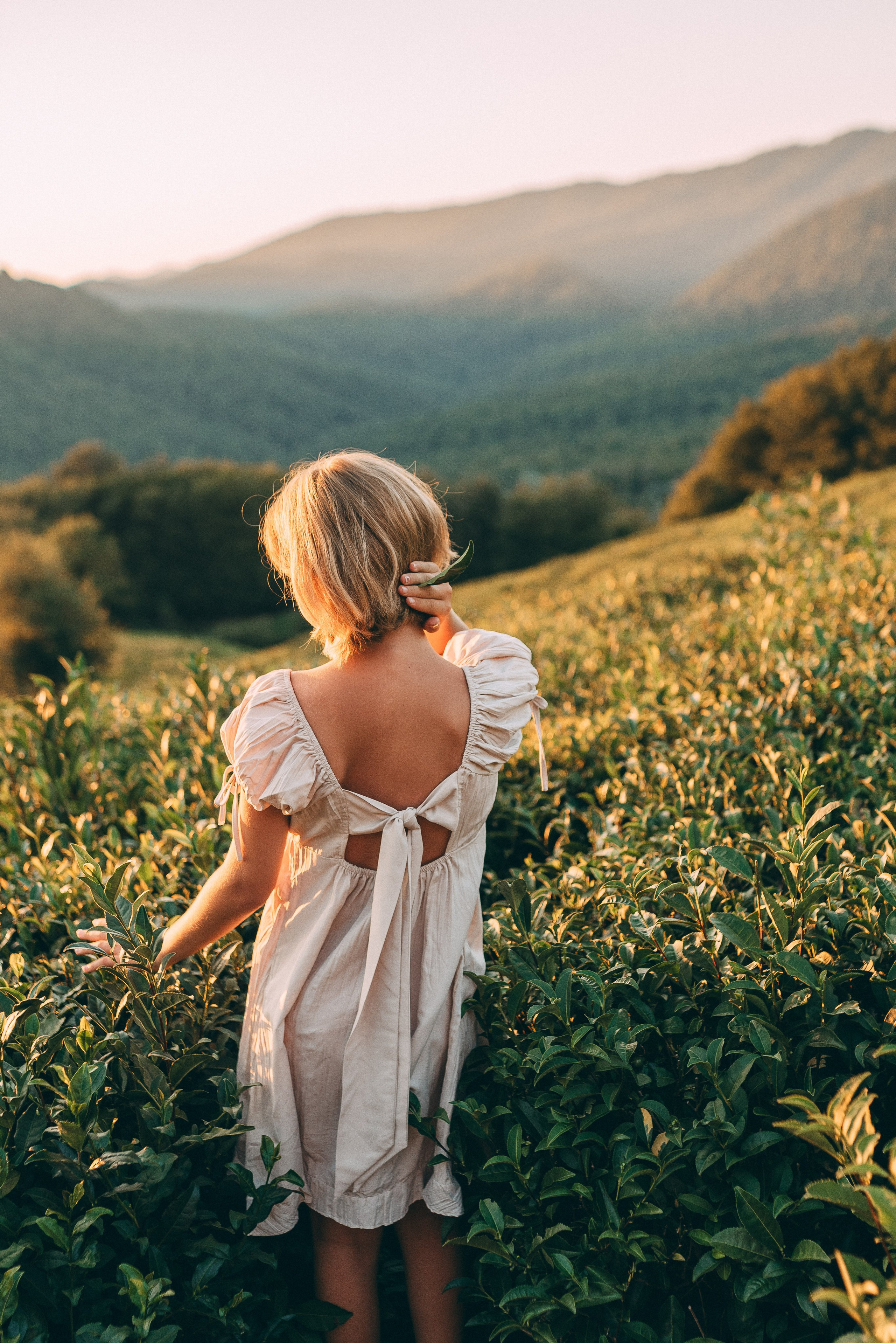 Чайные плантации 🌿✨. Фотограф в Сочи — Маргарита Поганова