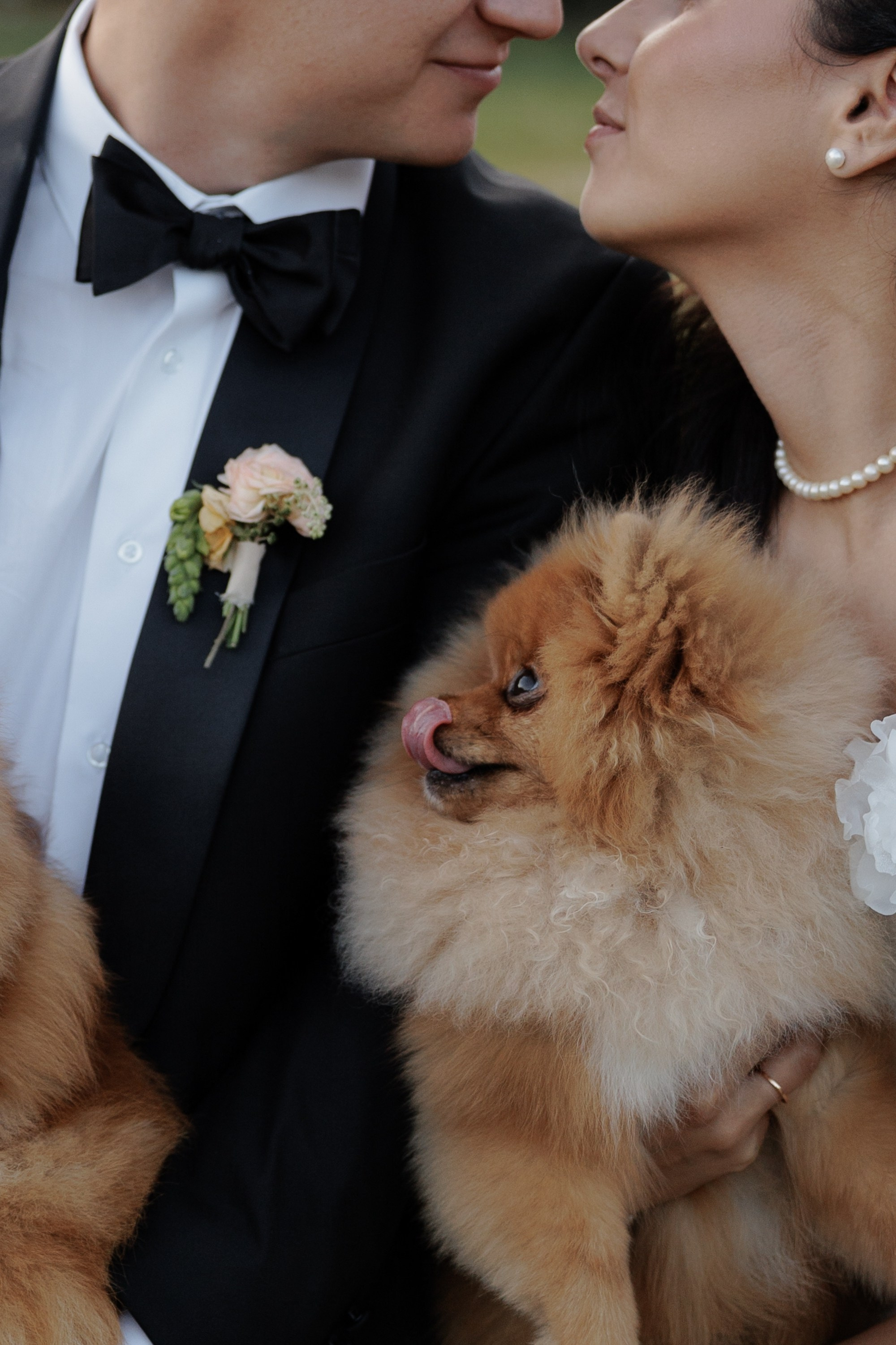Дмитрий и Алёна. Свадебный фотограф