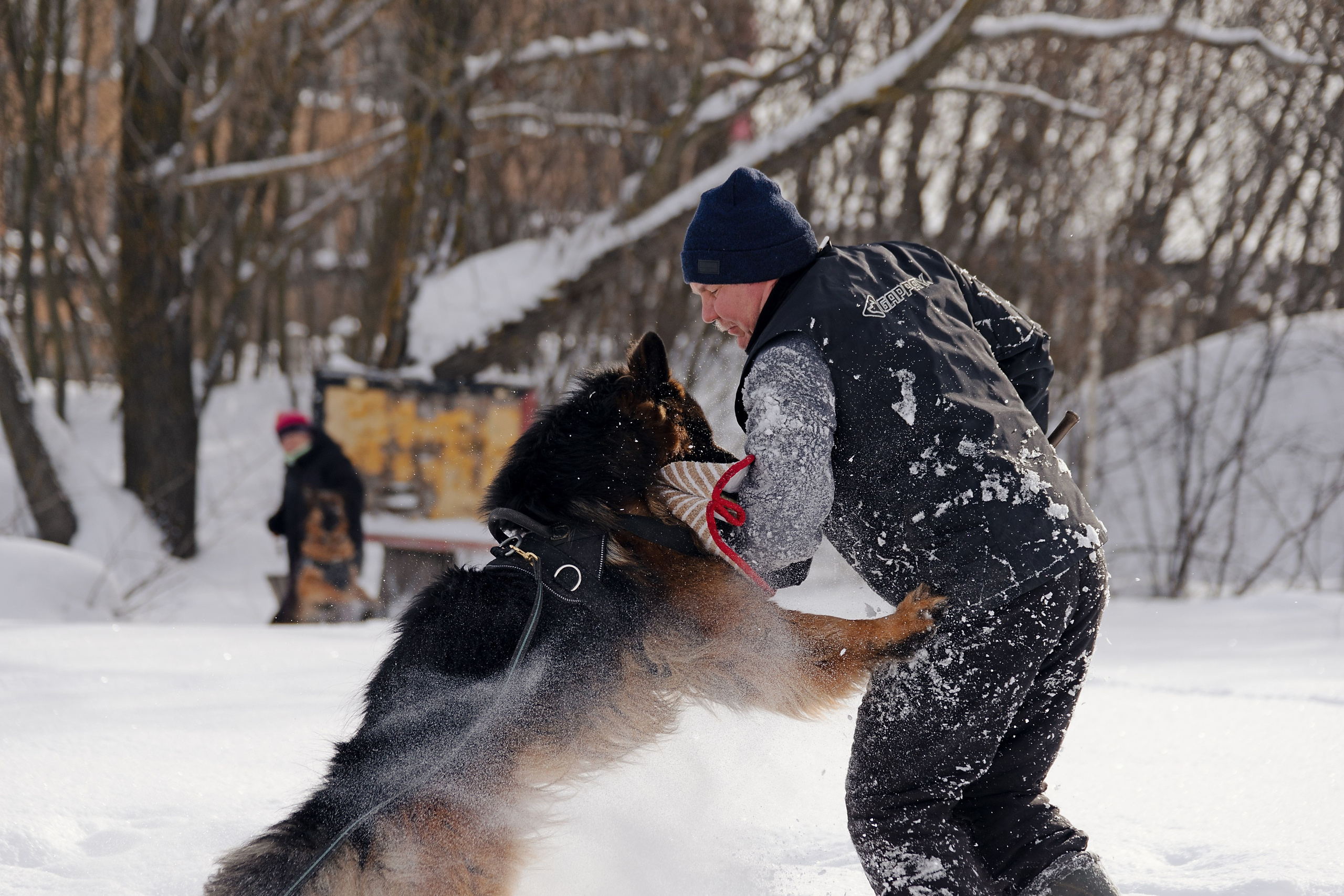 Репортажная съемка. Фотограф-анималист Нижний Новгород