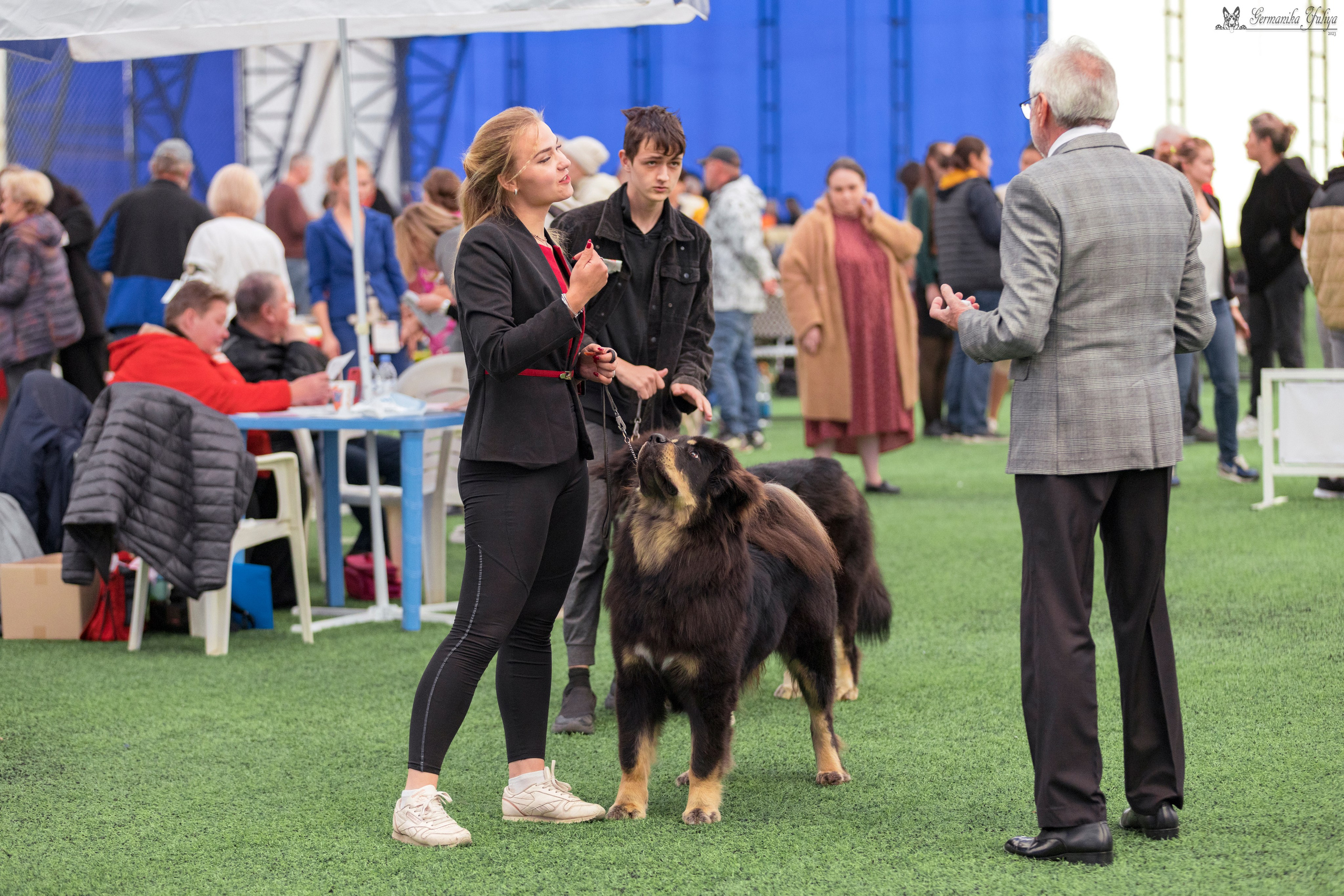 Ташкент 6-8.10.2023 + Алматы 14-15.10.2023. Фотограф-анималист Юлия Германика
