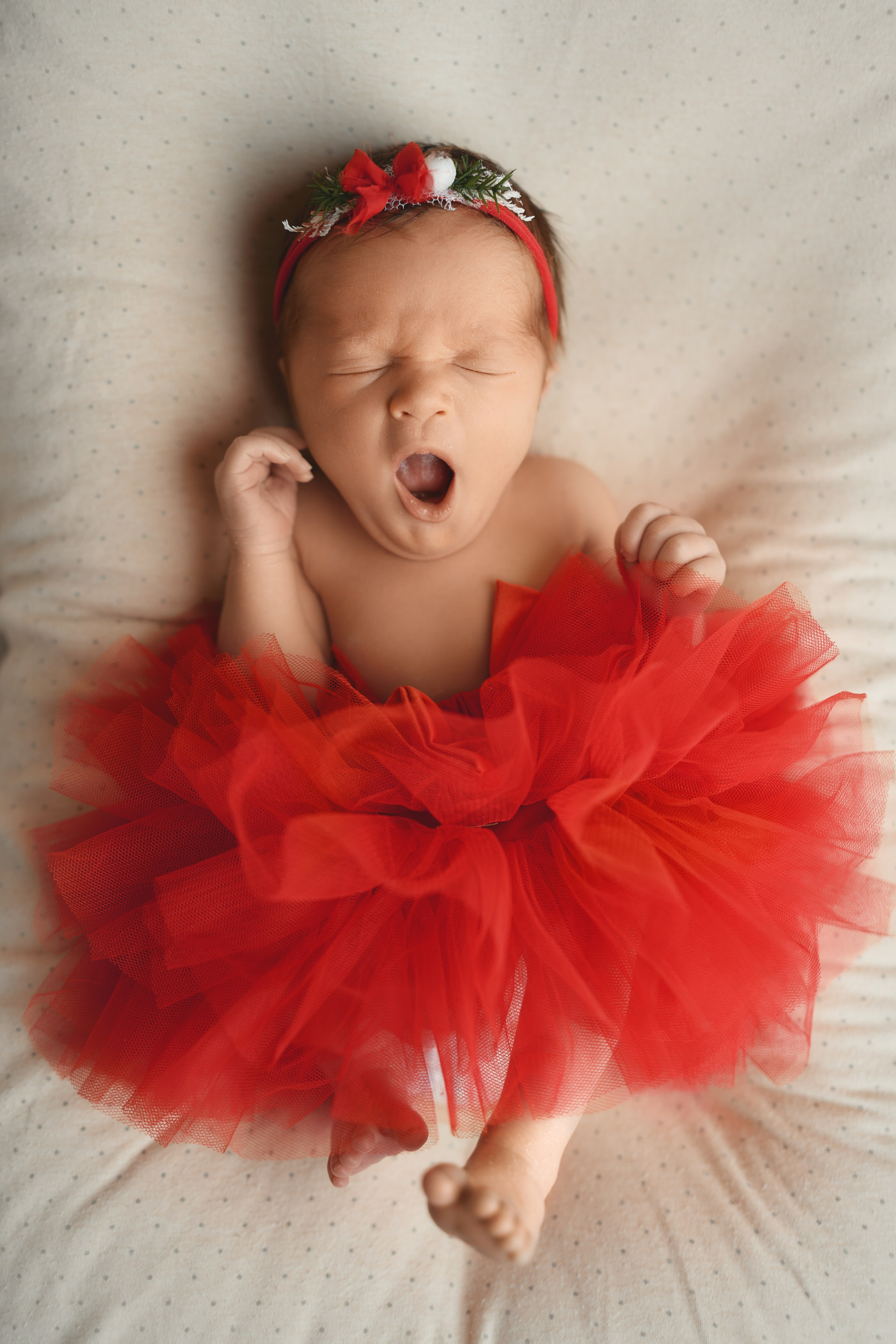 Стефания. Фотограф новорожденных во Владивостоке Ромашко Виктория