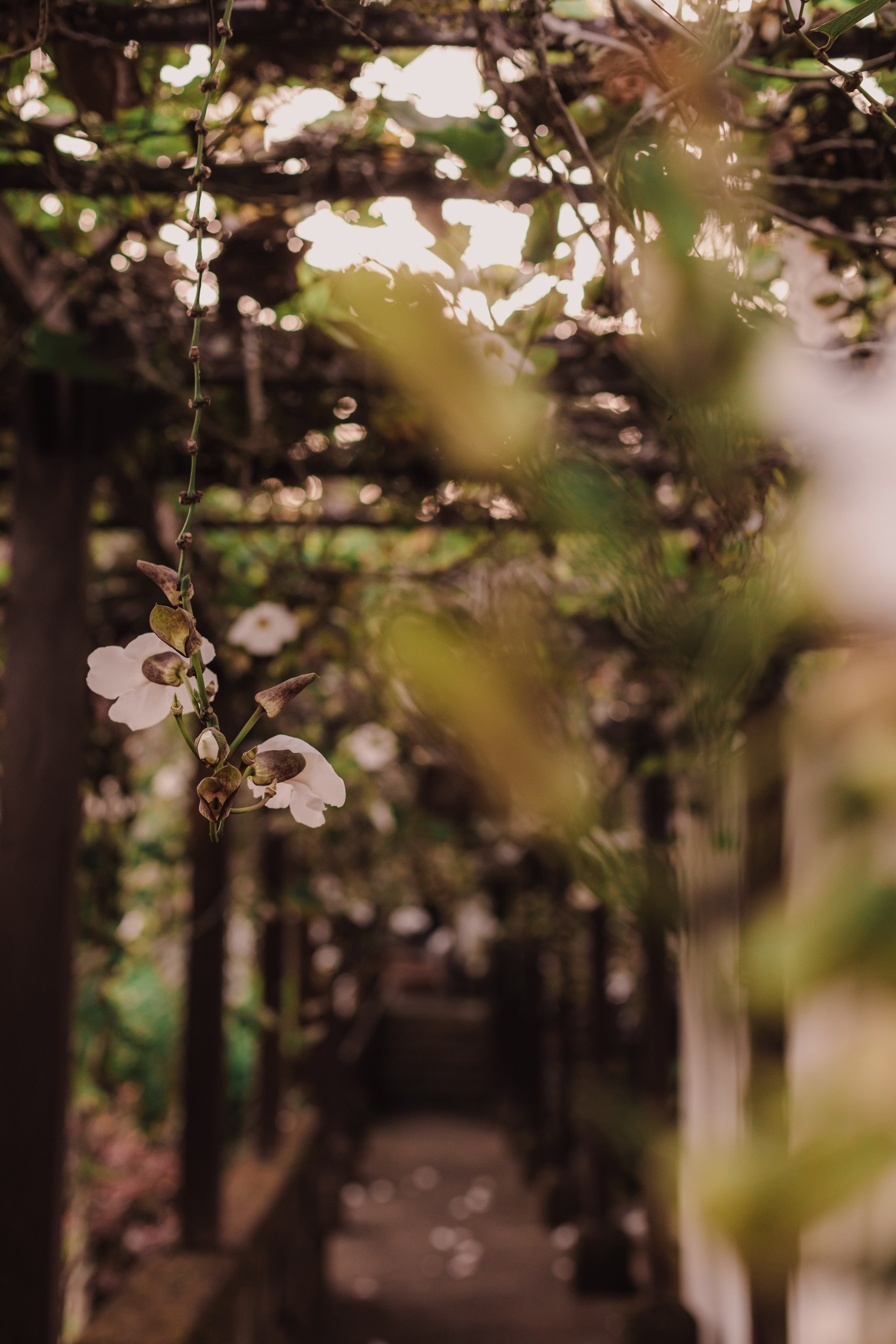 Love & honey. Mariam Bagdasaryan