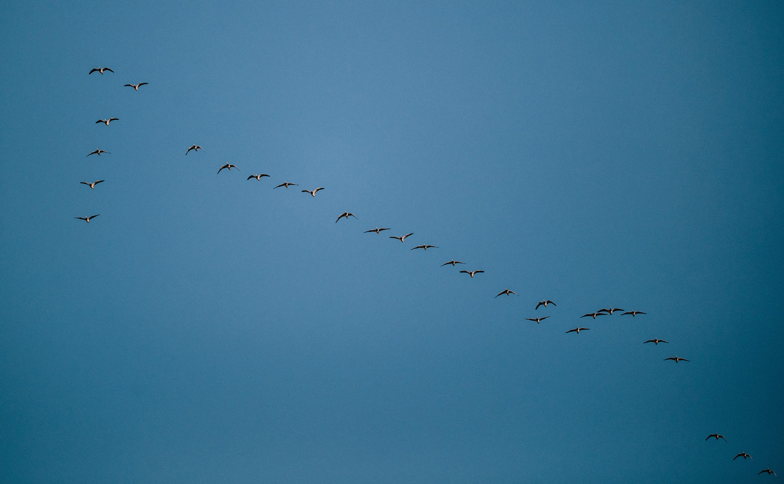 КАРЕЛИЯ / ОСЕНЬ. Создание контента | Фото | Видеосъемка | Александр Ярков