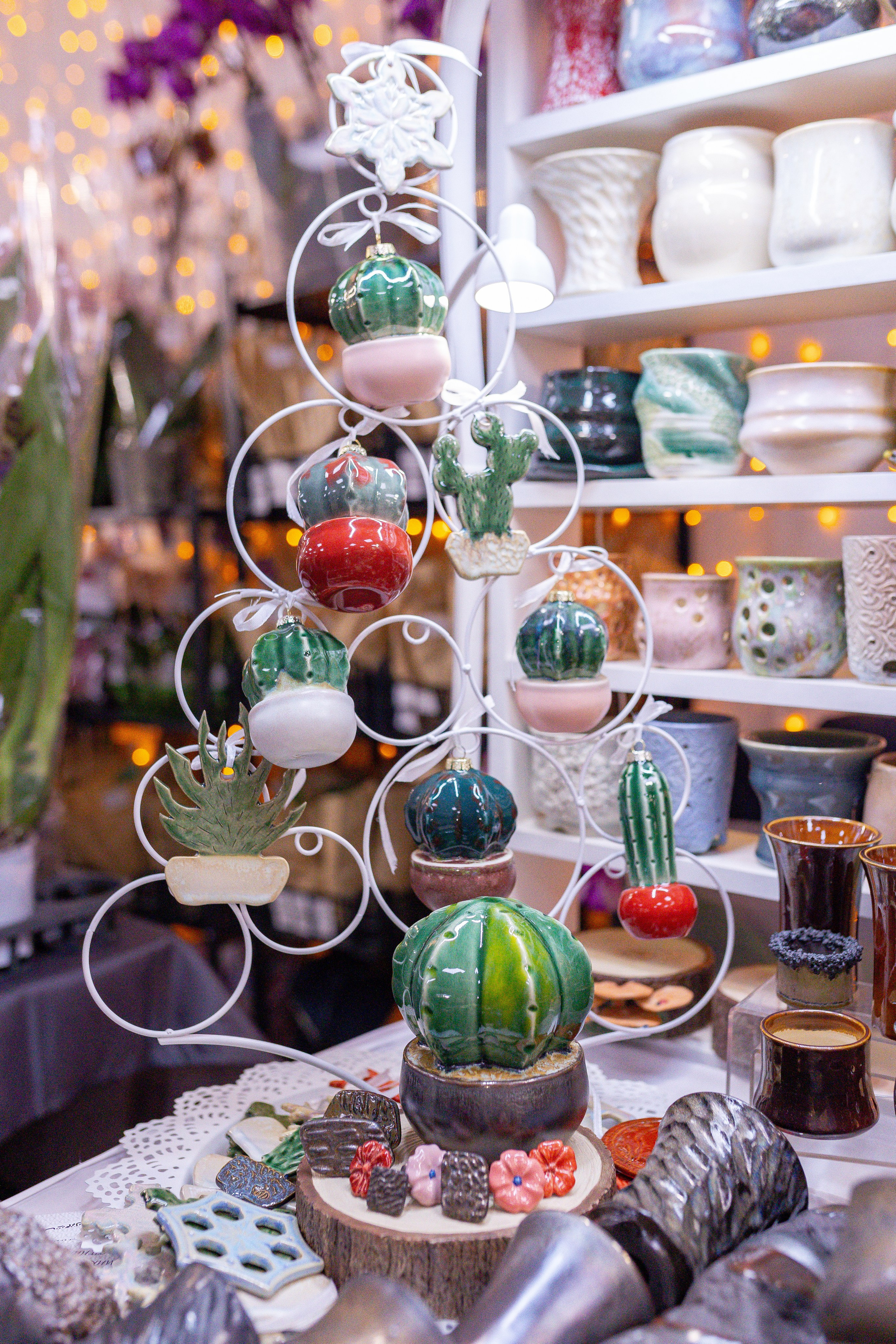 Орхидиум 12.2025. Александра Куликова фотограф, Москва