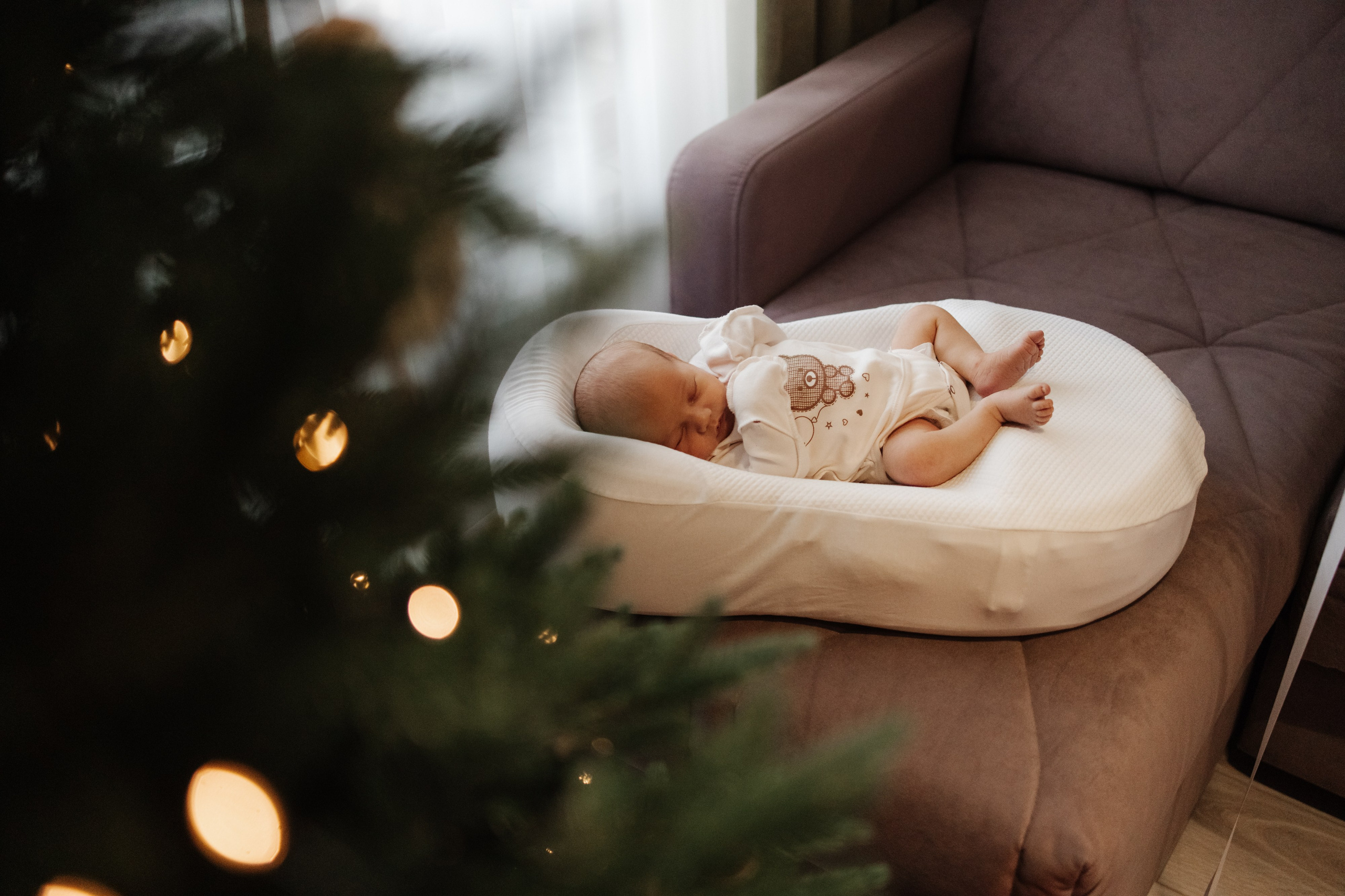 Гордей. Фотограф Новосибирск