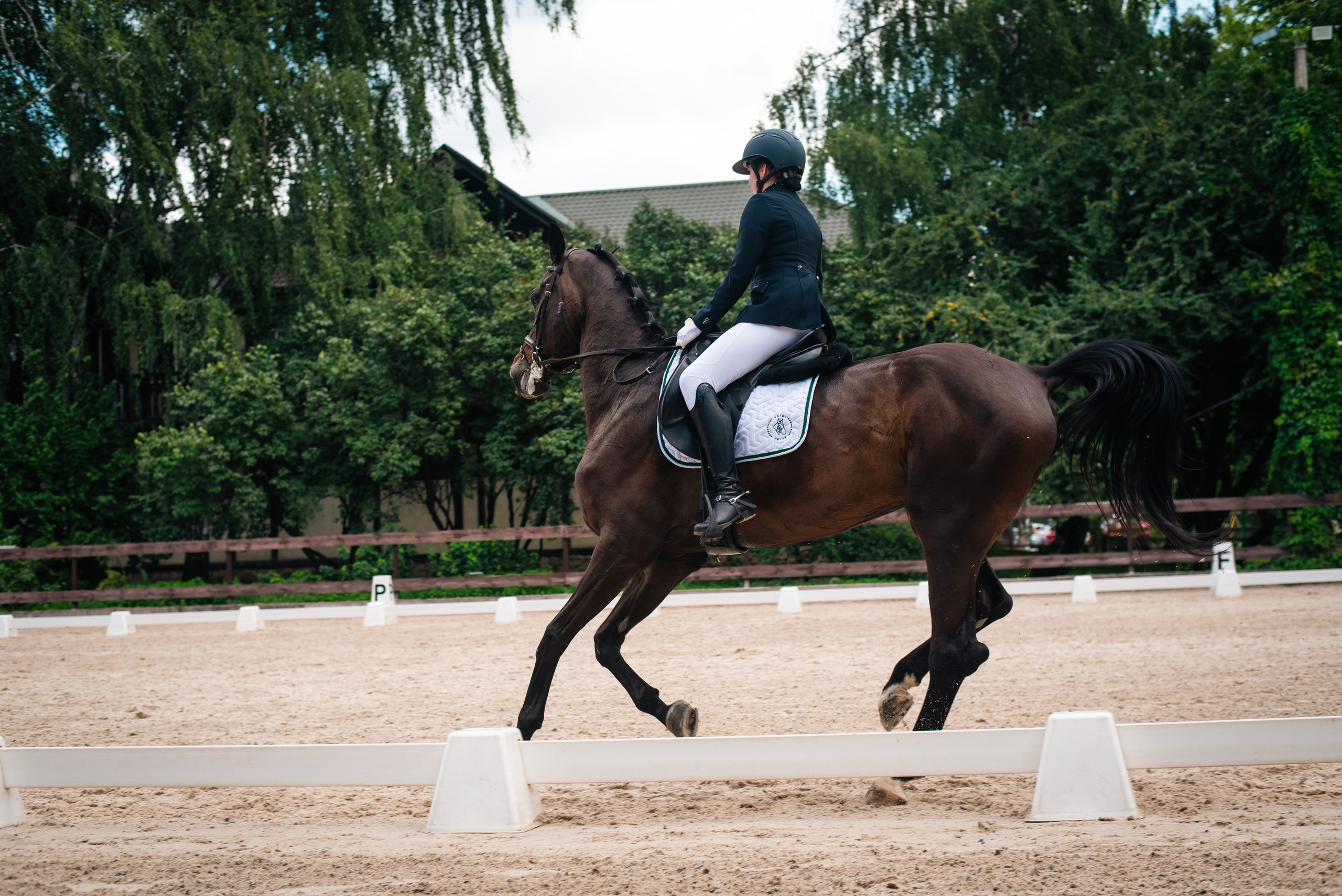 Выездка 10.08.25. Фотограф, визажист. Москва