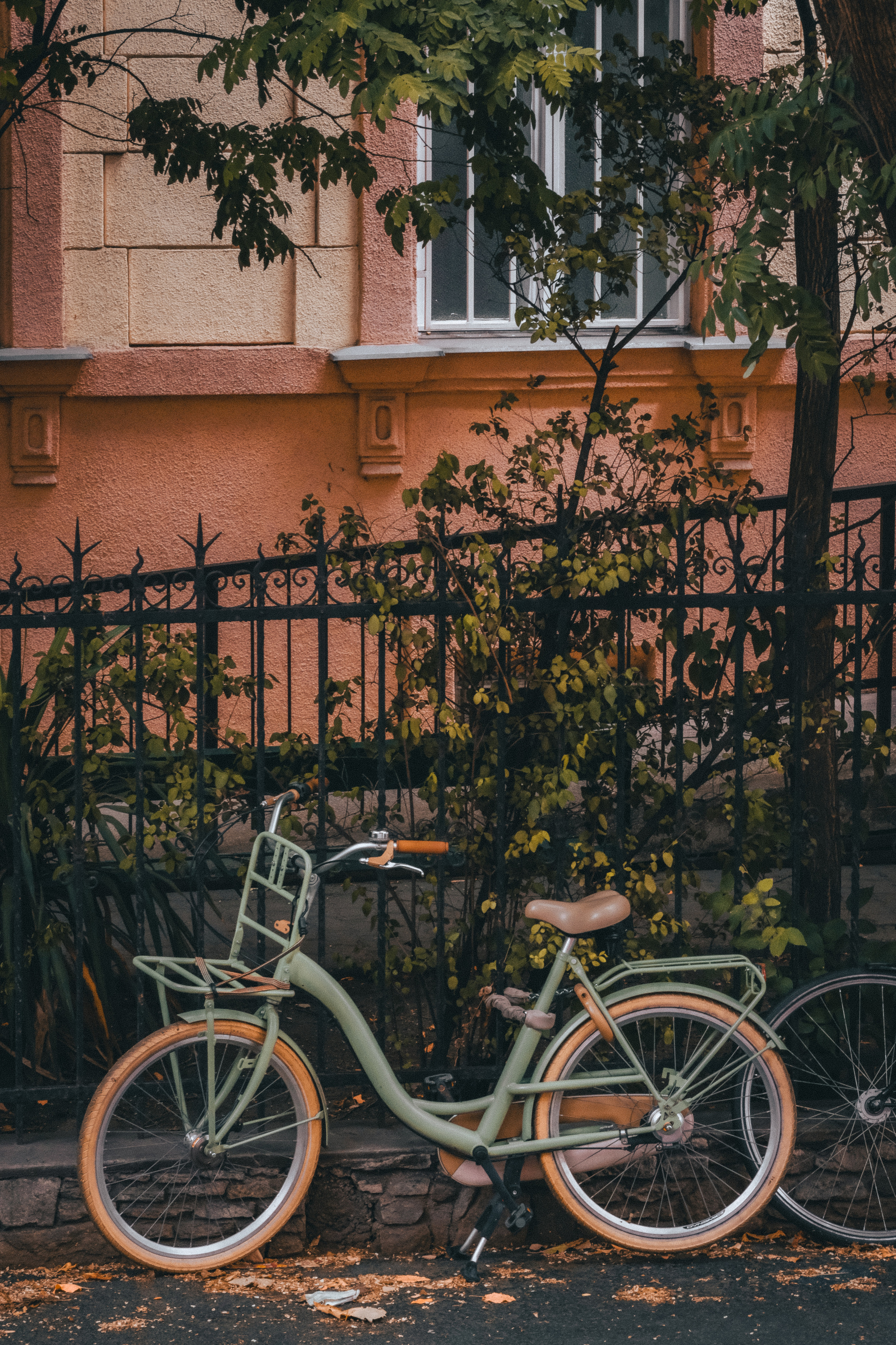 Street. ANNA SHORT | Photographer