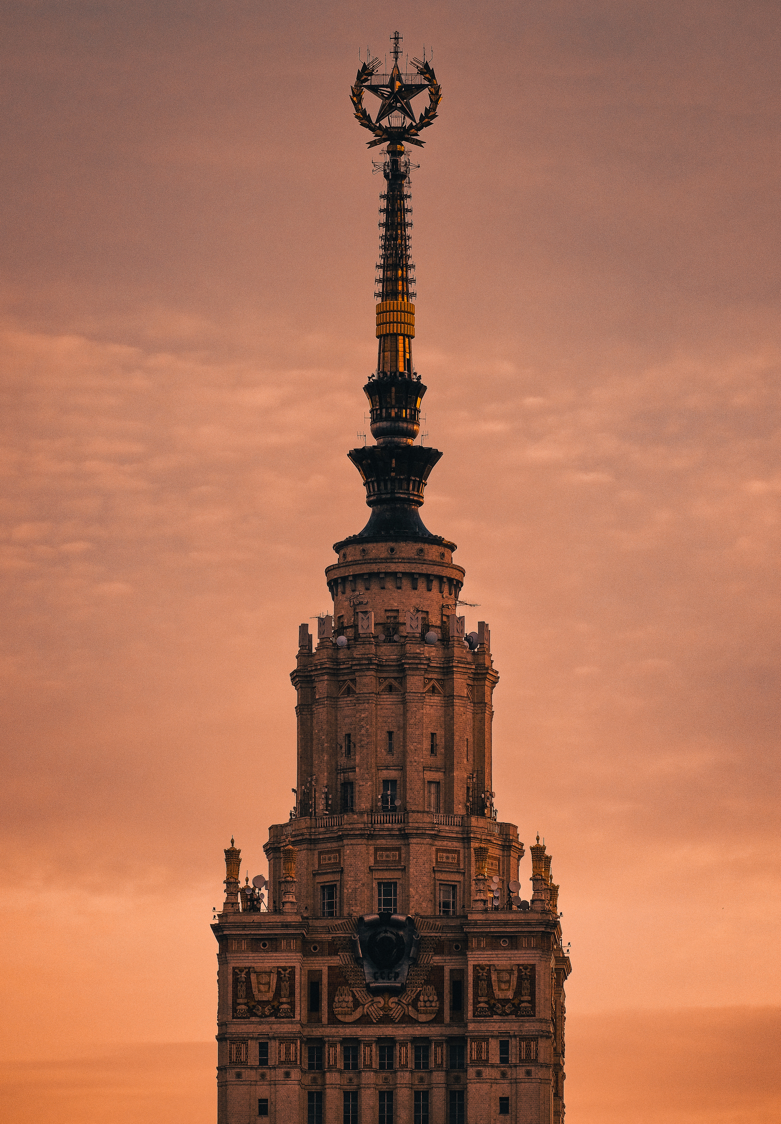 Street. ANNA SHORT | Photographer