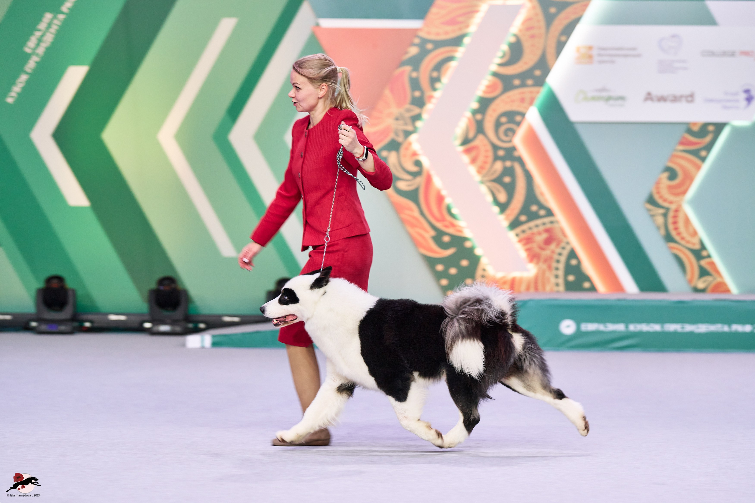 17.11.2024 «ЕВРАЗИЯ. КУБОК СНГ 2024»