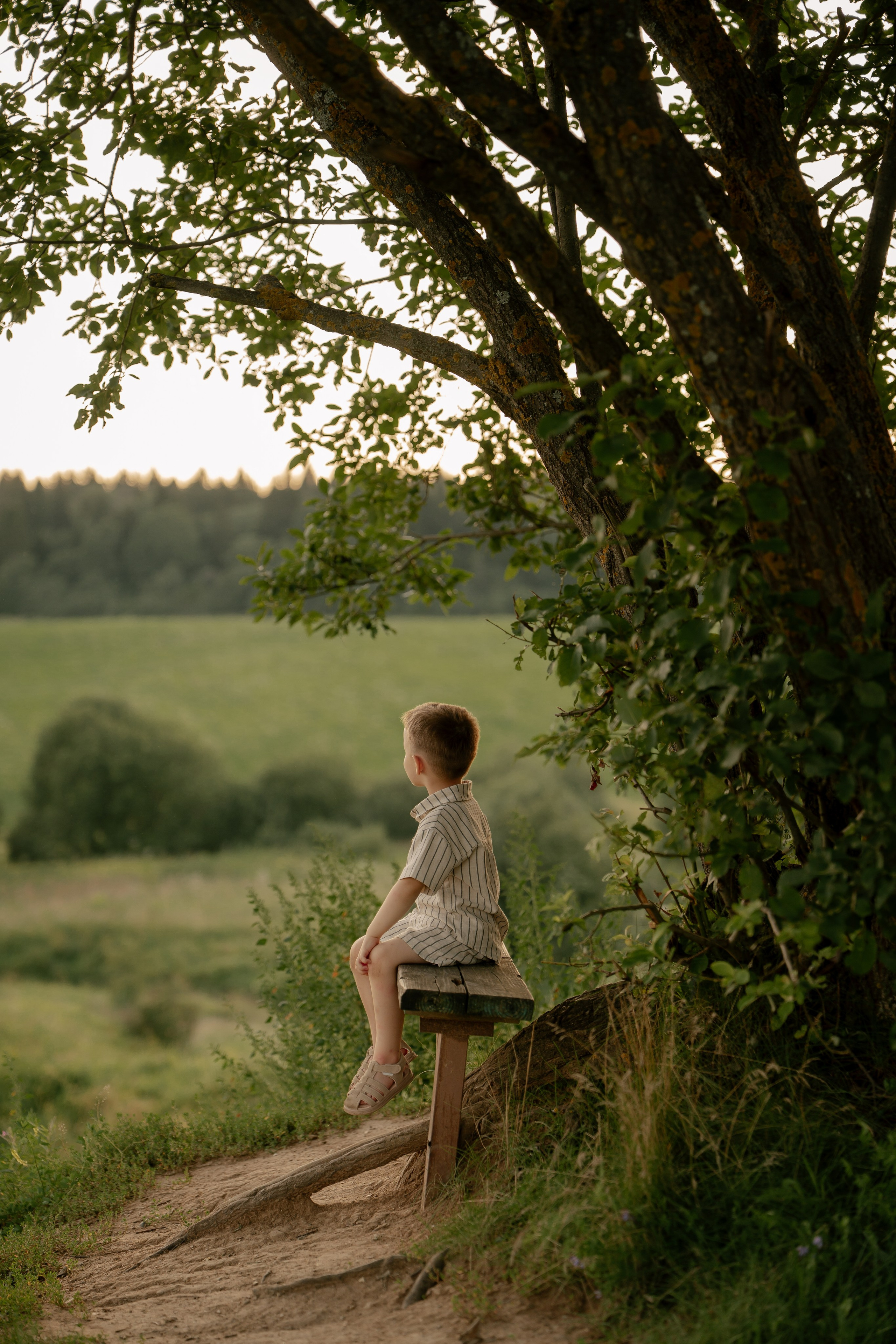 На закате. Свадебный и семейный фотограф в Москве и Красногорске — живые кадры | Анастасия Тихонова