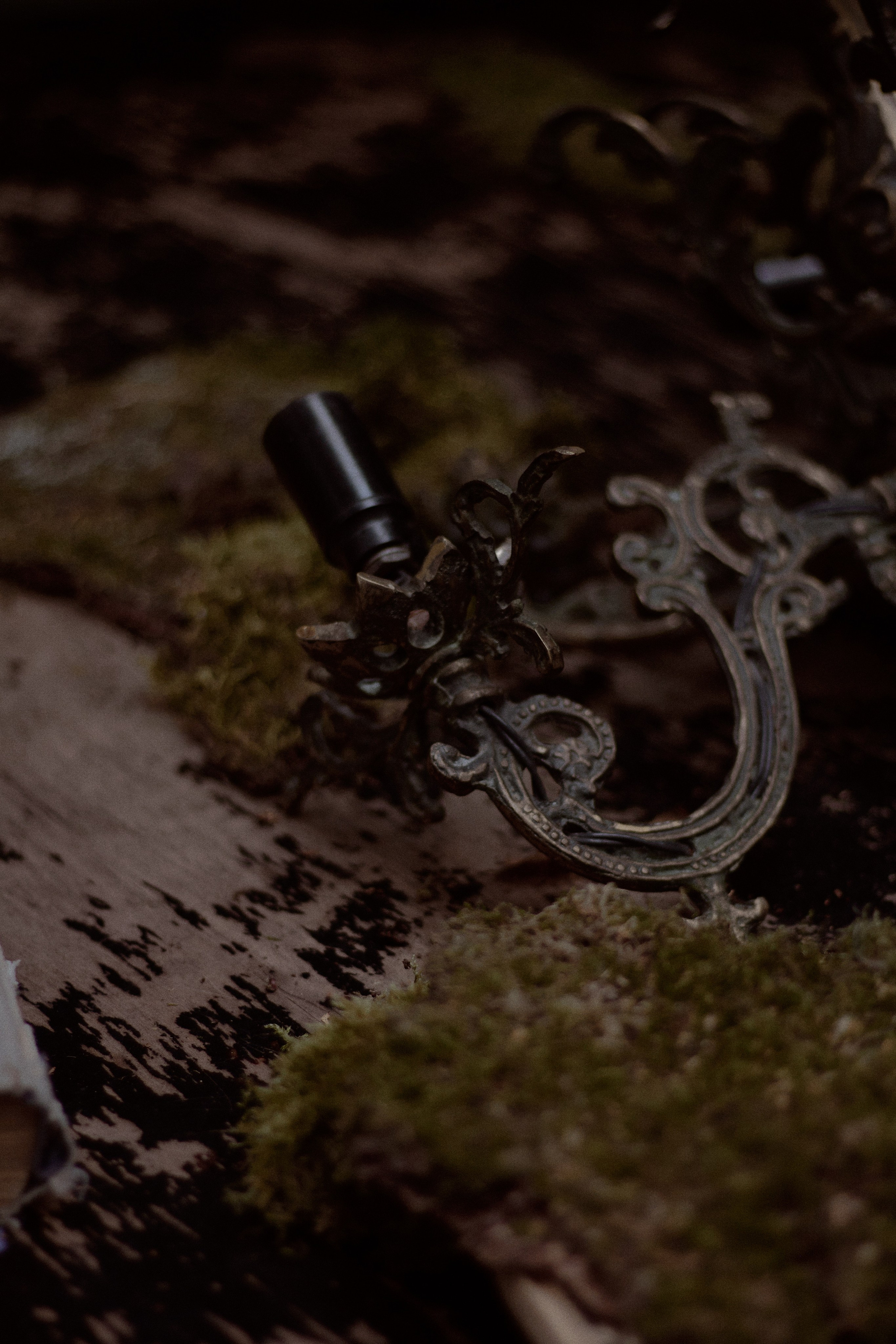 Стеклянная Оранжерея. Фотограф лавстори Москва/МО Приятелева Ангелина