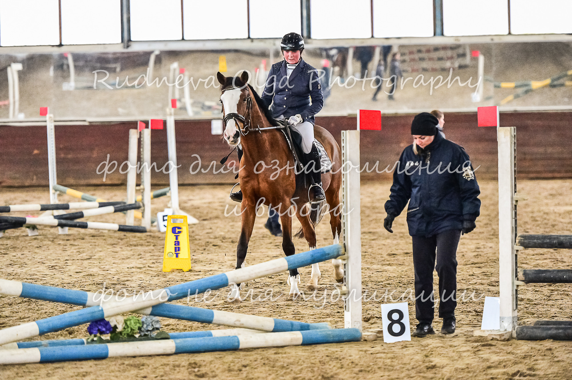 Отзывы. ТУРНИРНАЯ КОННАЯ ФОТОГРАФИЯ, Руднева Ольга и Евгений Адеев