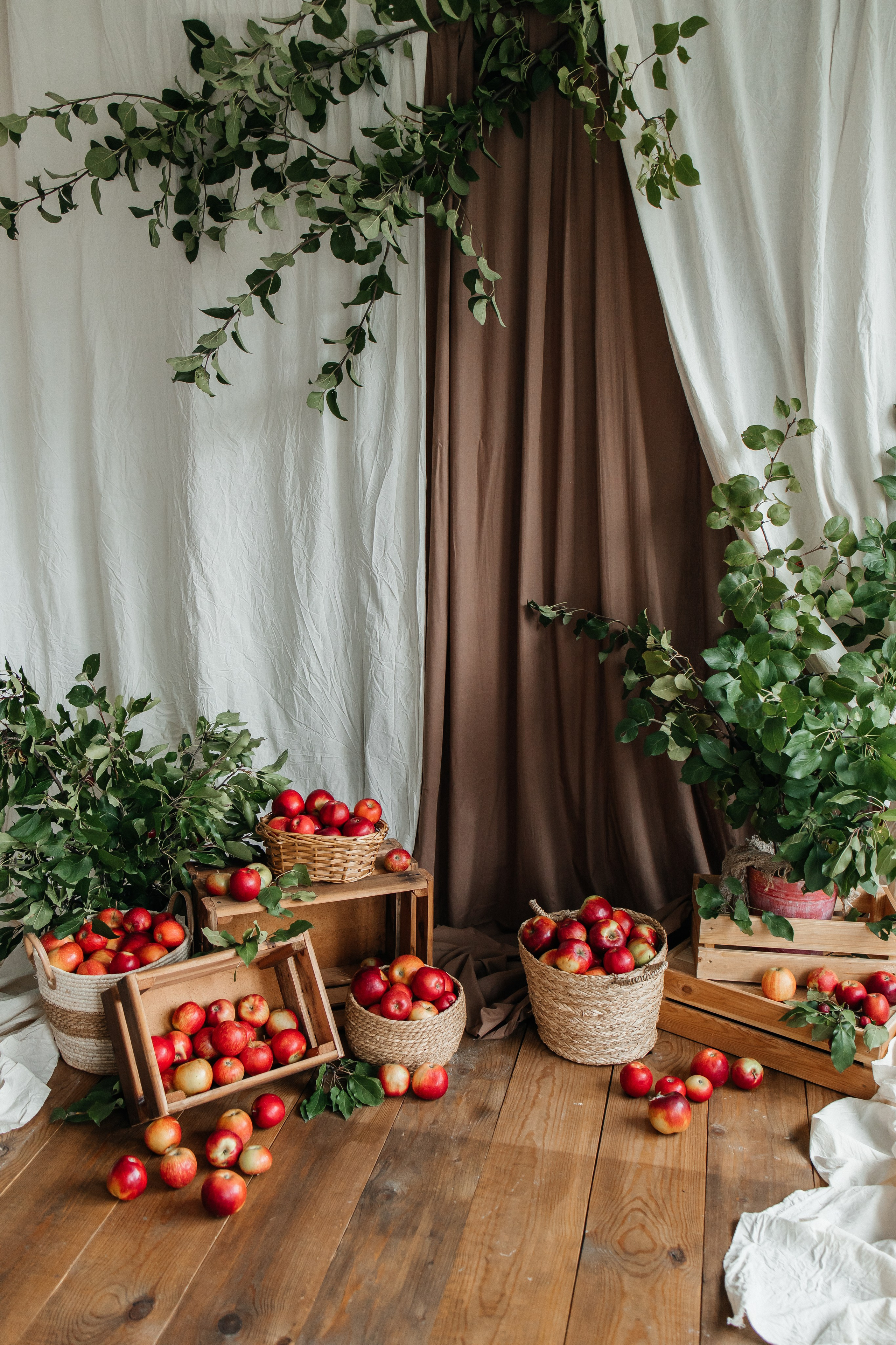 Осенний с кроликом🐇. First-foto.ru