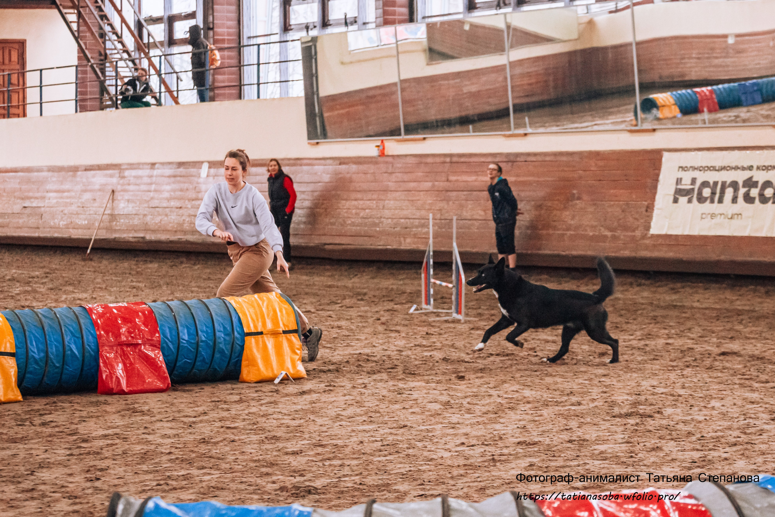 Соревнования по Аджилити 25.02.2024. Фотограф-анималист Татьяна Степанова
