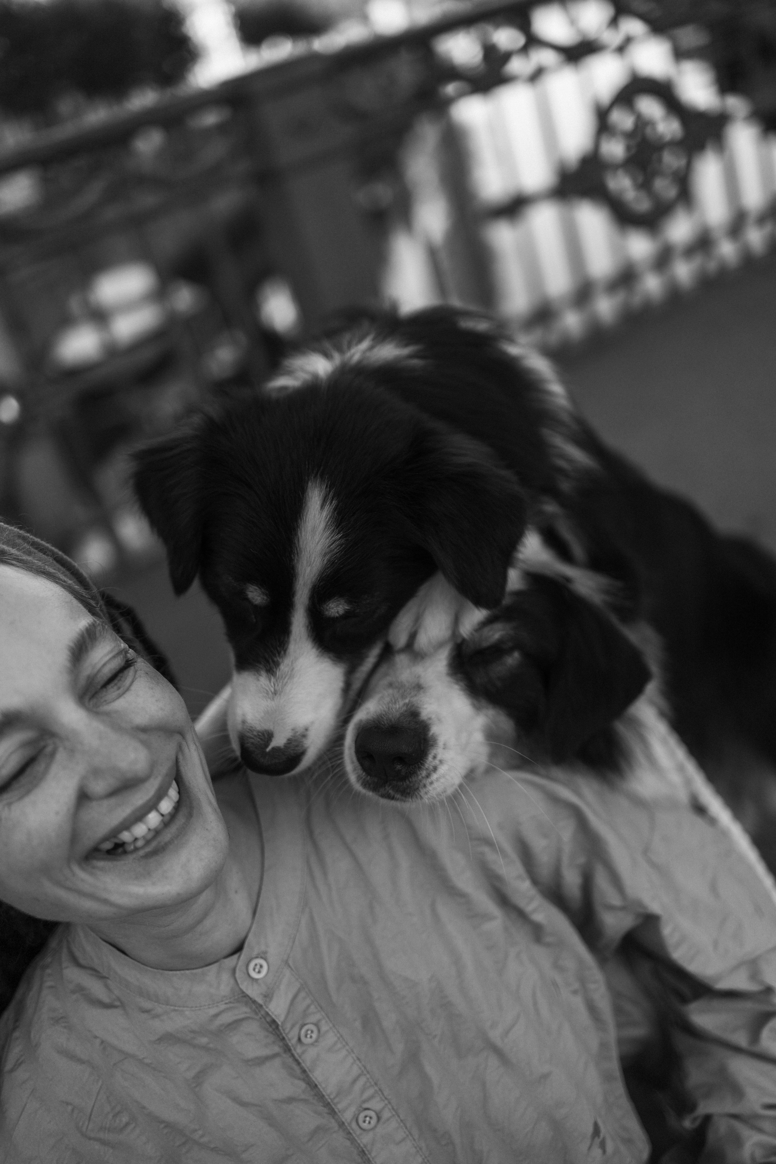 Катя и ее девочки. Фотограф — Анималист | Санкт-Петербург