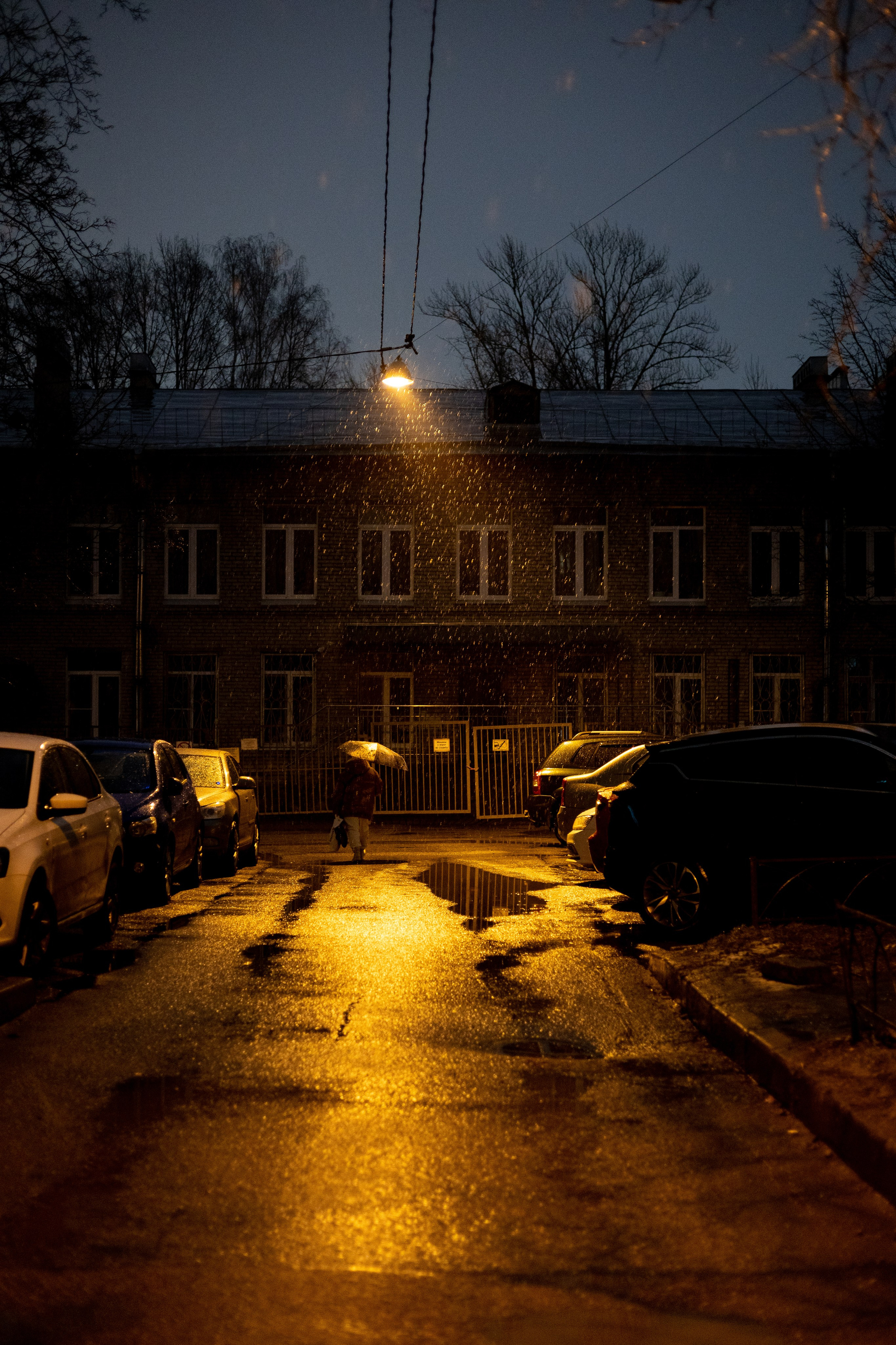 Авторская фотография и эстетика Петербурга | Роман Карбышев. Репортажный фотограф | Снимки за 3 дня | СПБ и ЛО