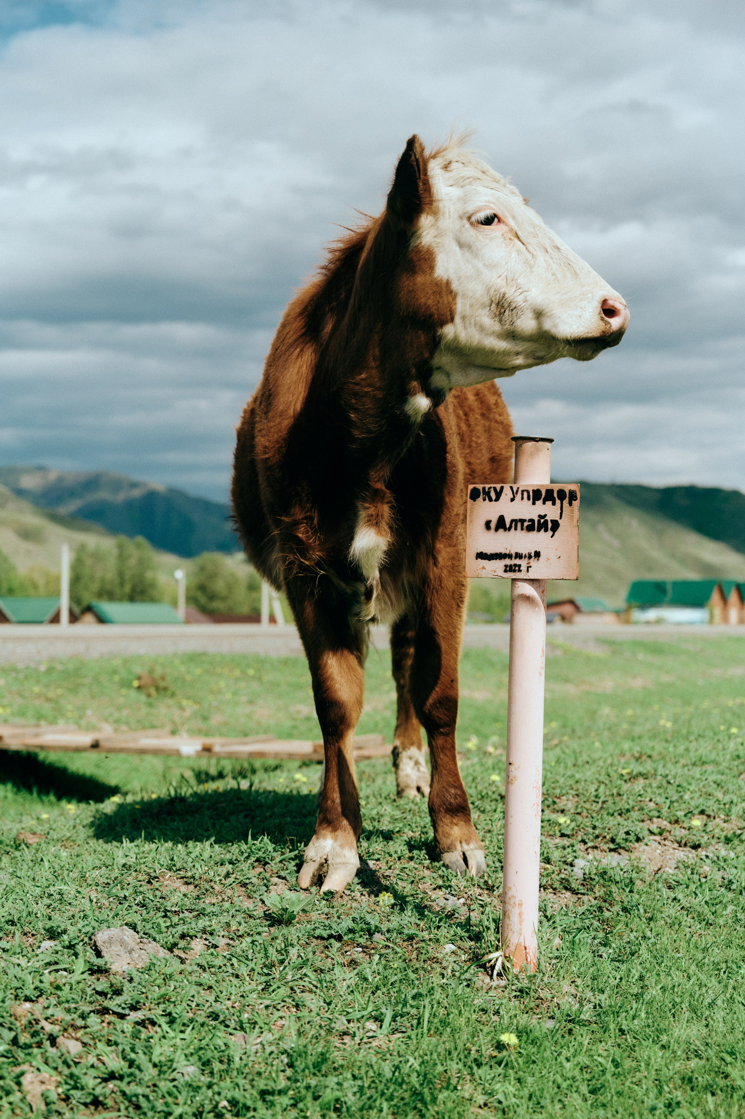 BAON x ALTAY. Фотограф Сурков Никита