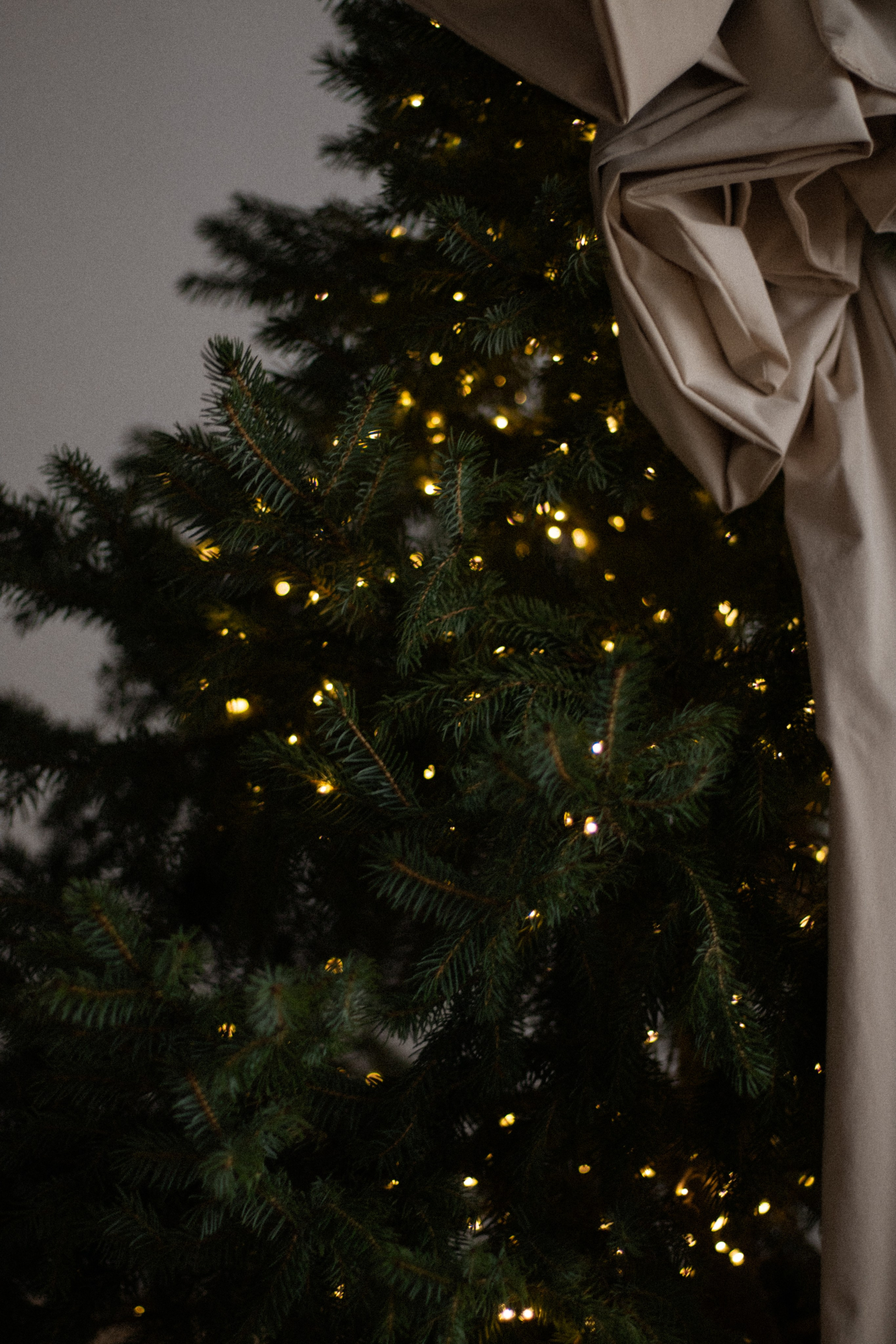 Daria + Arya. Lusy Redina | Семейный Фотограф | Волгоград