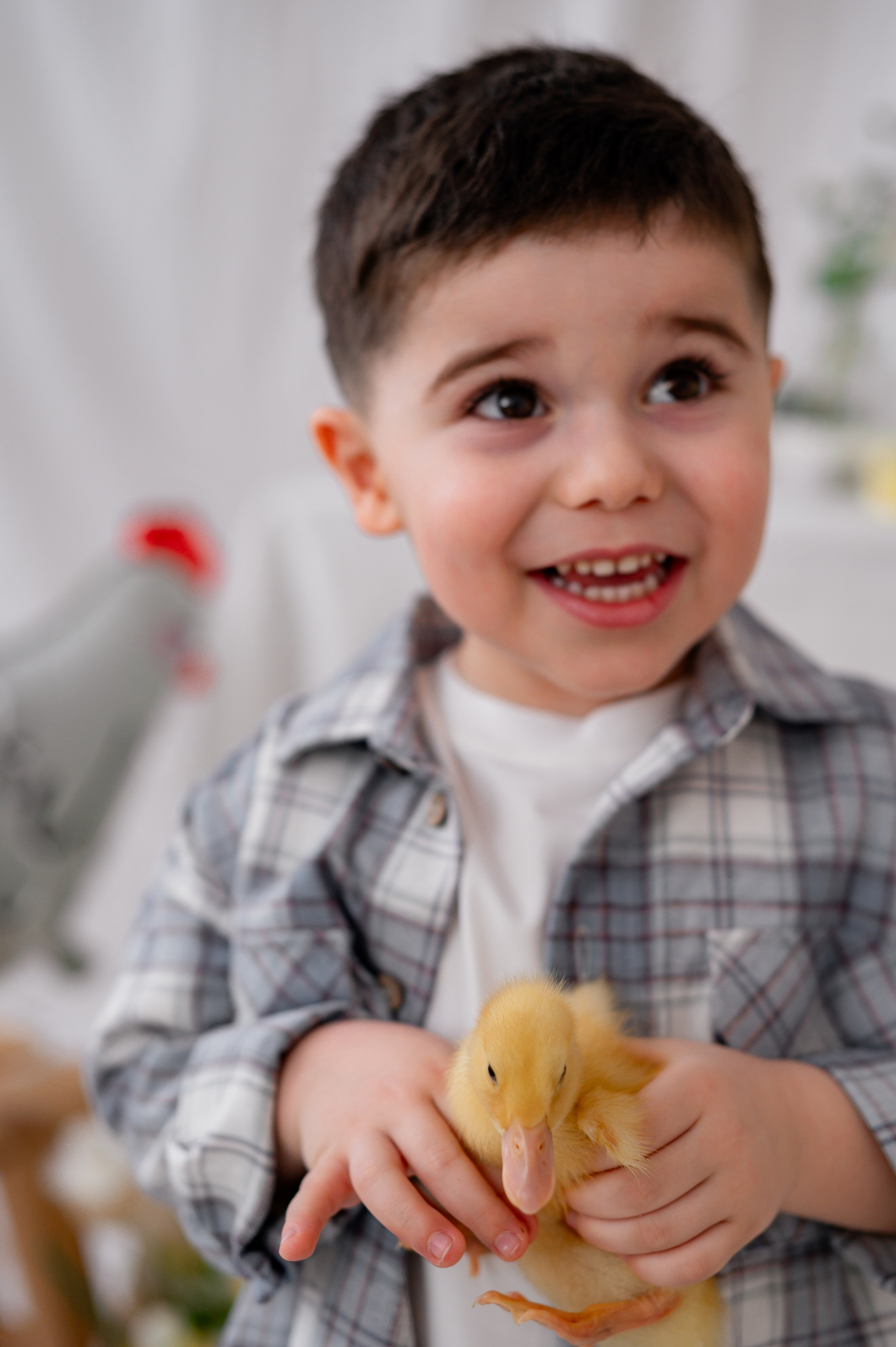 Лев Арина Вика Алена. Фотограф Татьяна Иванчикова