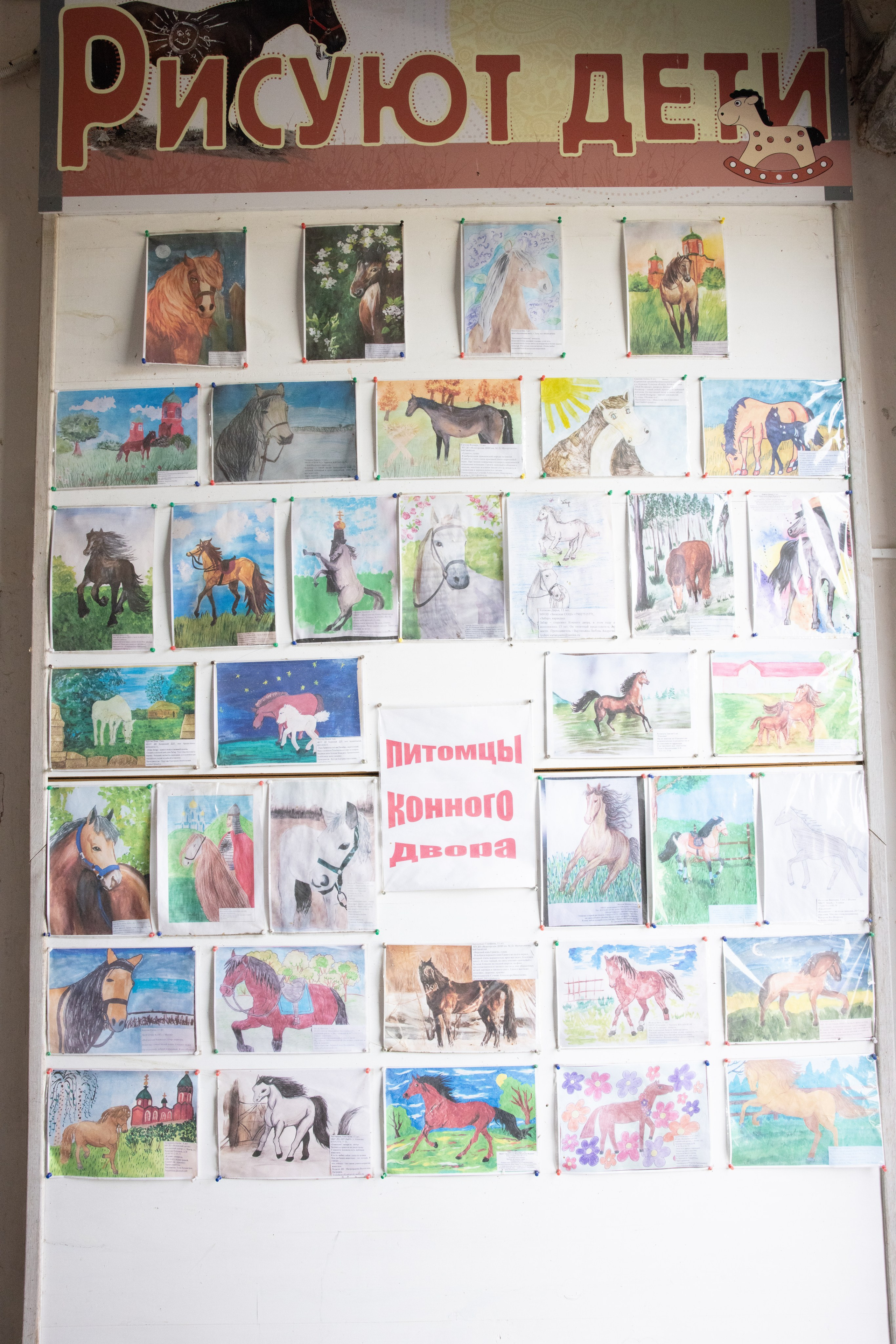 Поездка на поле Кулеково. Фотограф в Туле Крупский АнДРей. Фотостудия «КАДР71» в Туле