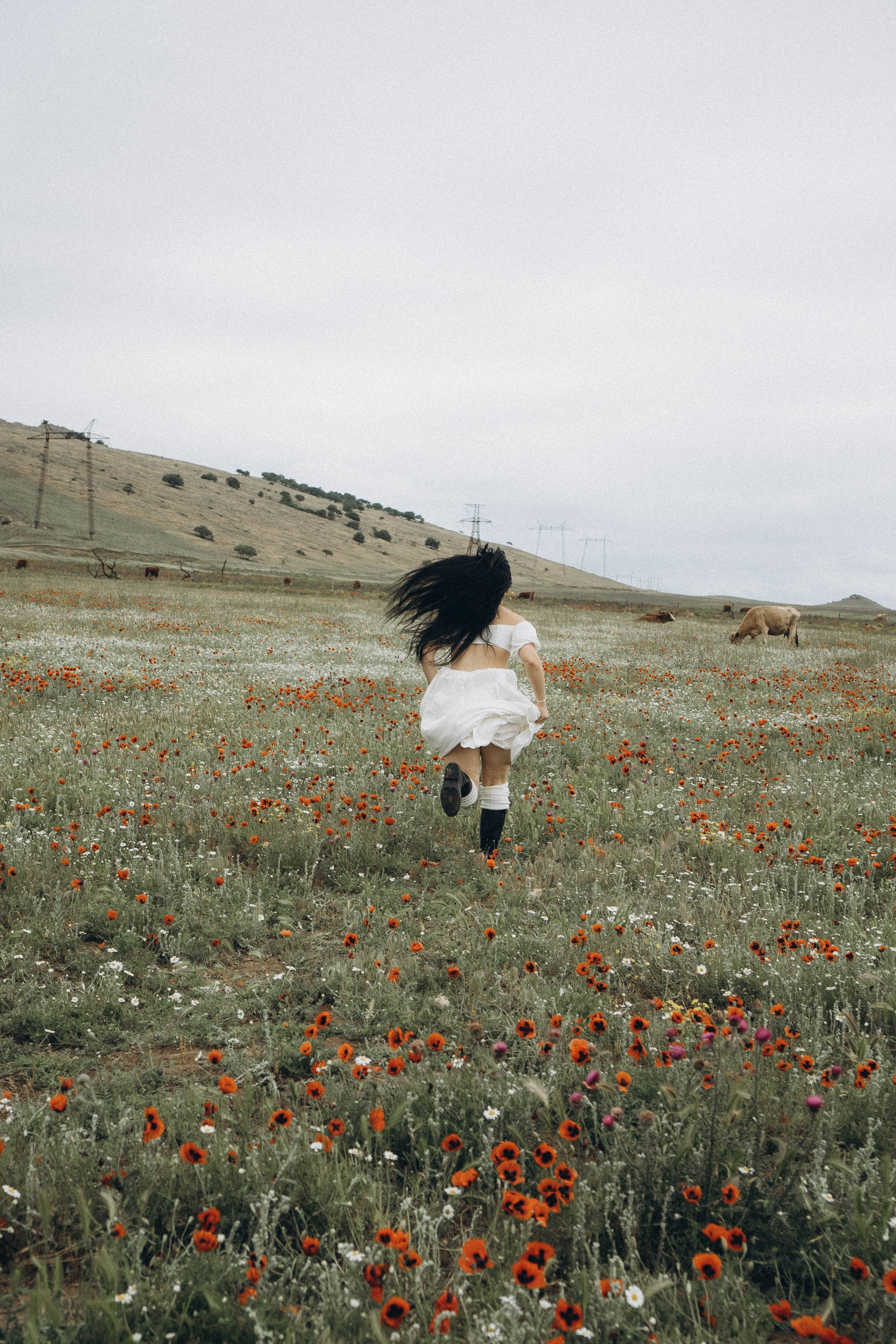 Маковое поле. Профессиональный фотограф, Санкт-Петербург — Виктория Богомолова