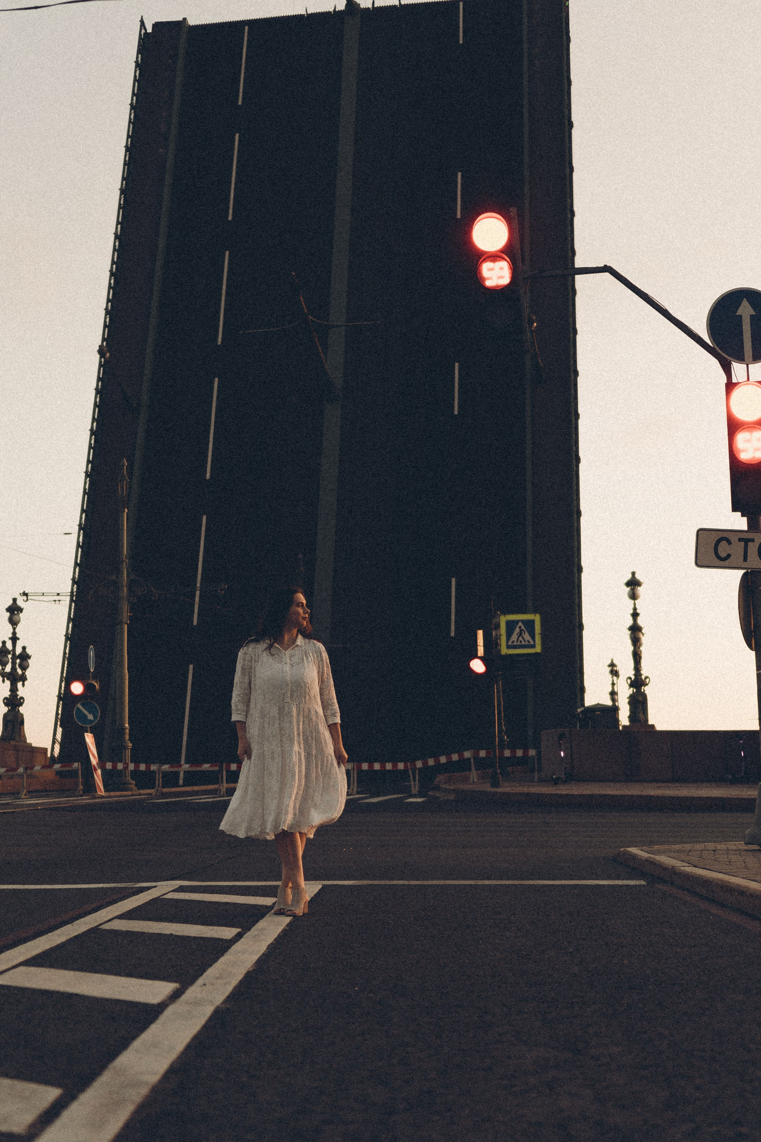 РАССВЕТ С РАЗВОДНЫМИ МОСТАМИ. Профессиональный фотограф, Санкт-Петербург — Виктория Богомолова