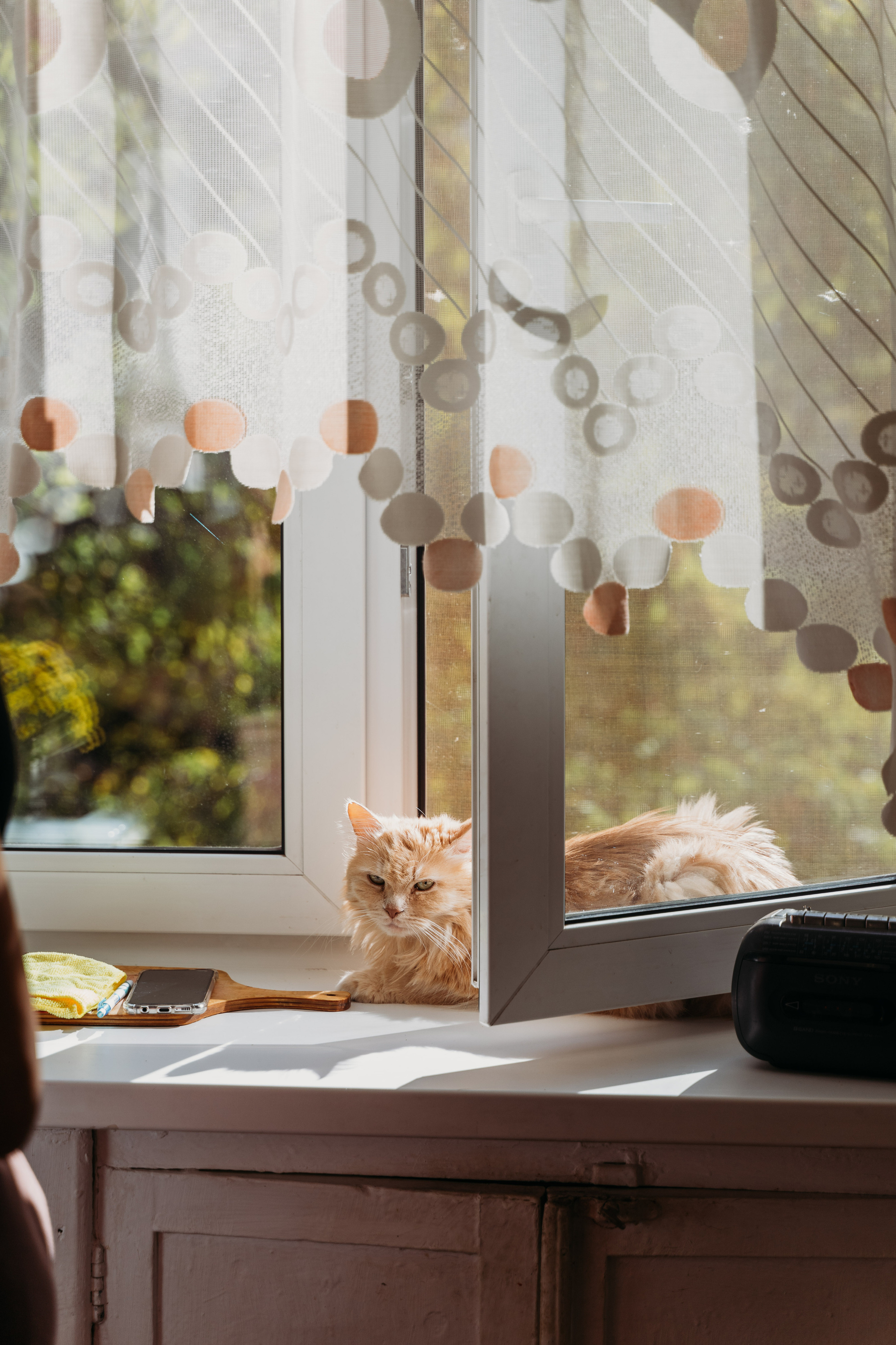 В гостях у Ба. Семейный фотограф в Саратове