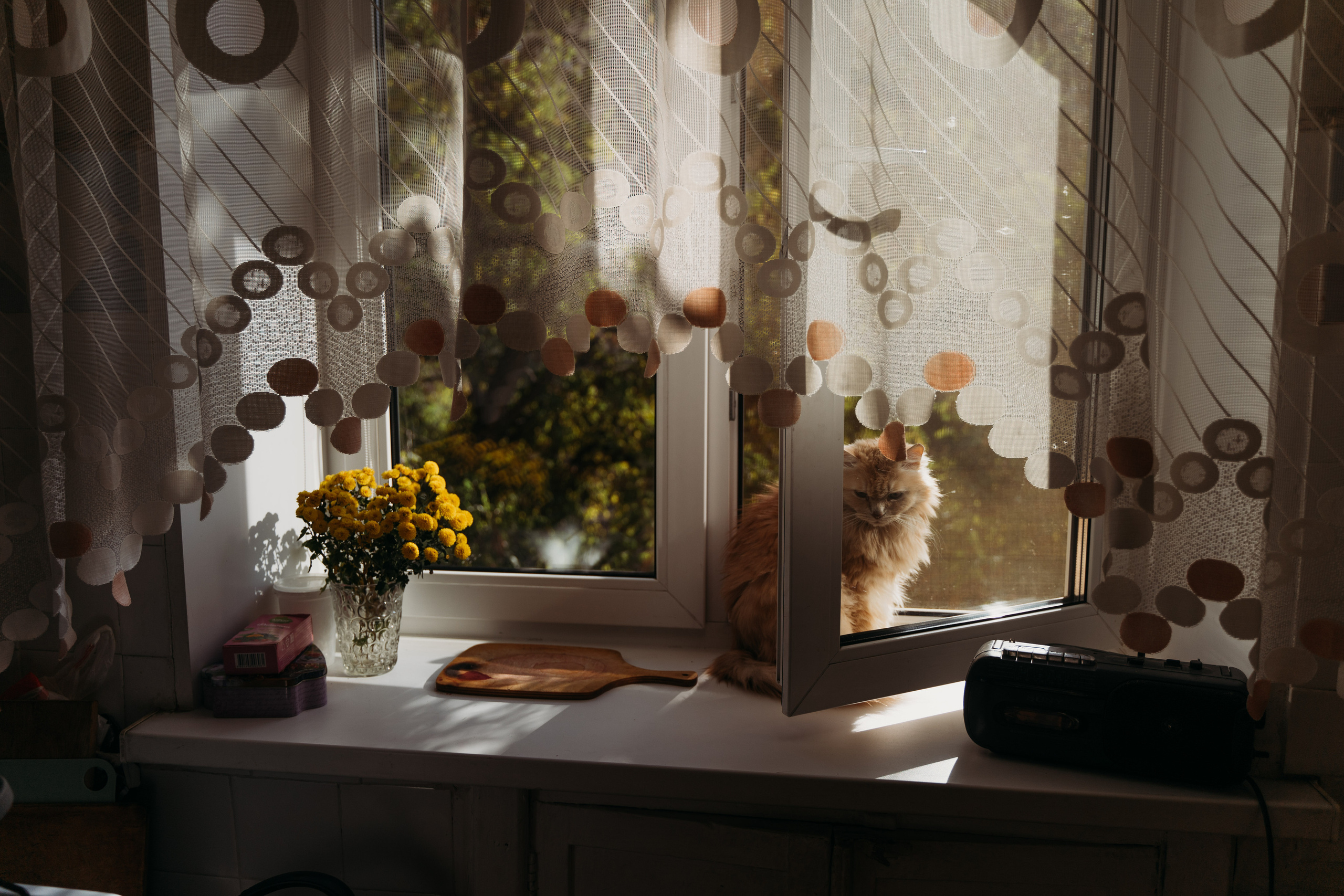 В гостях у Ба. Семейный фотограф в Саратове