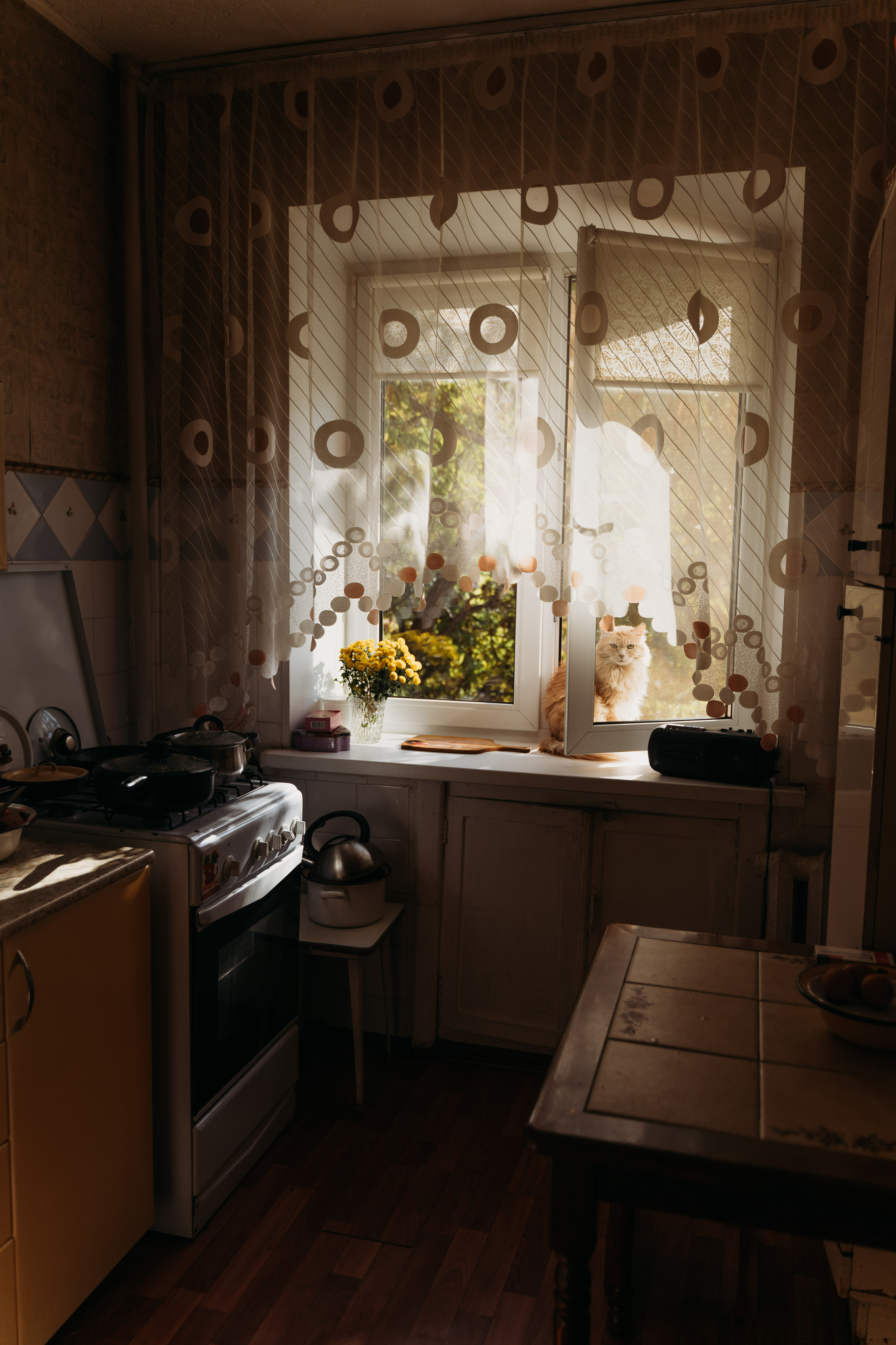 В гостях у Ба. Семейный фотограф в Саратове