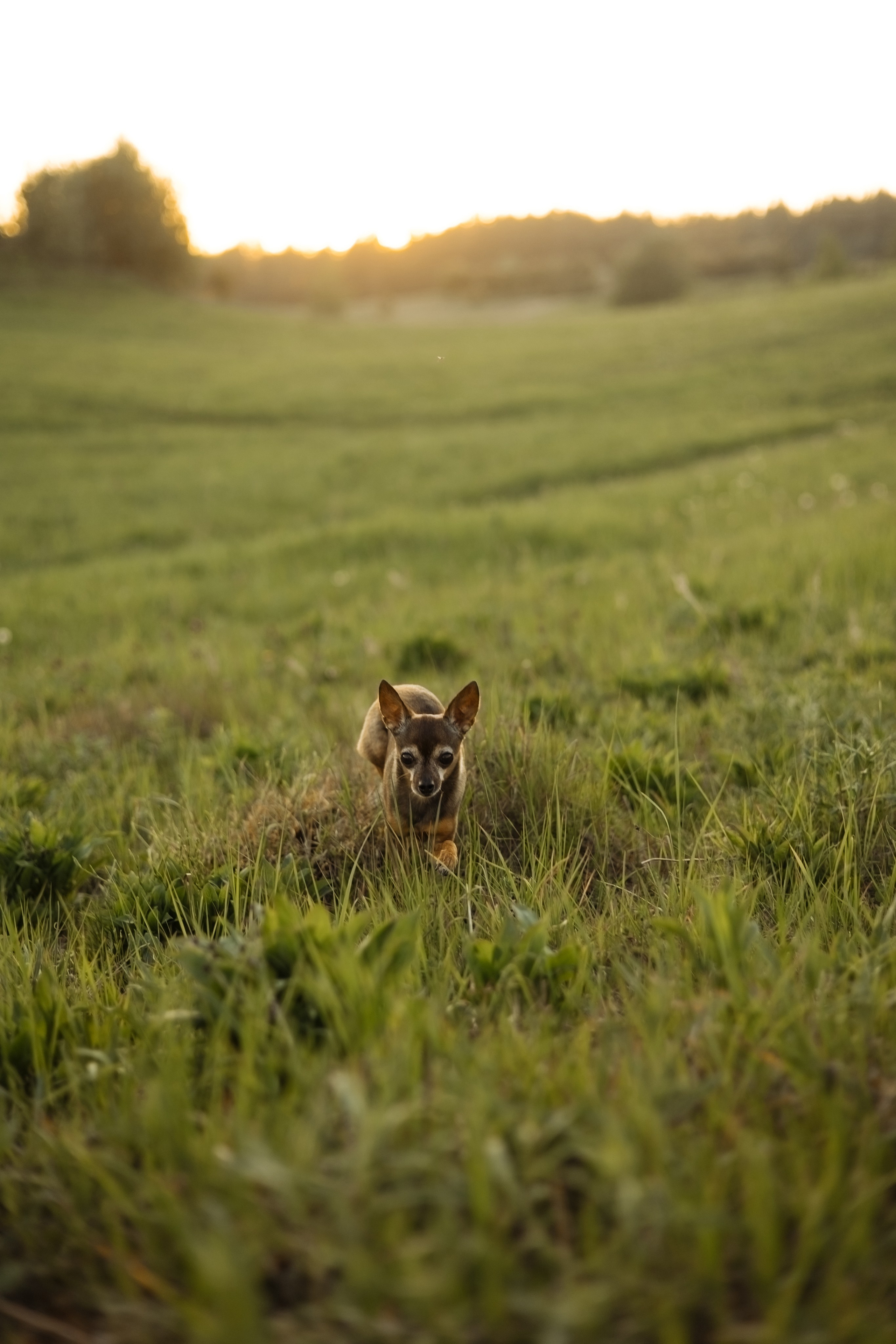 1+1=3. Свадебный фотограф в Санкт-Петербурге Александр Пащенко