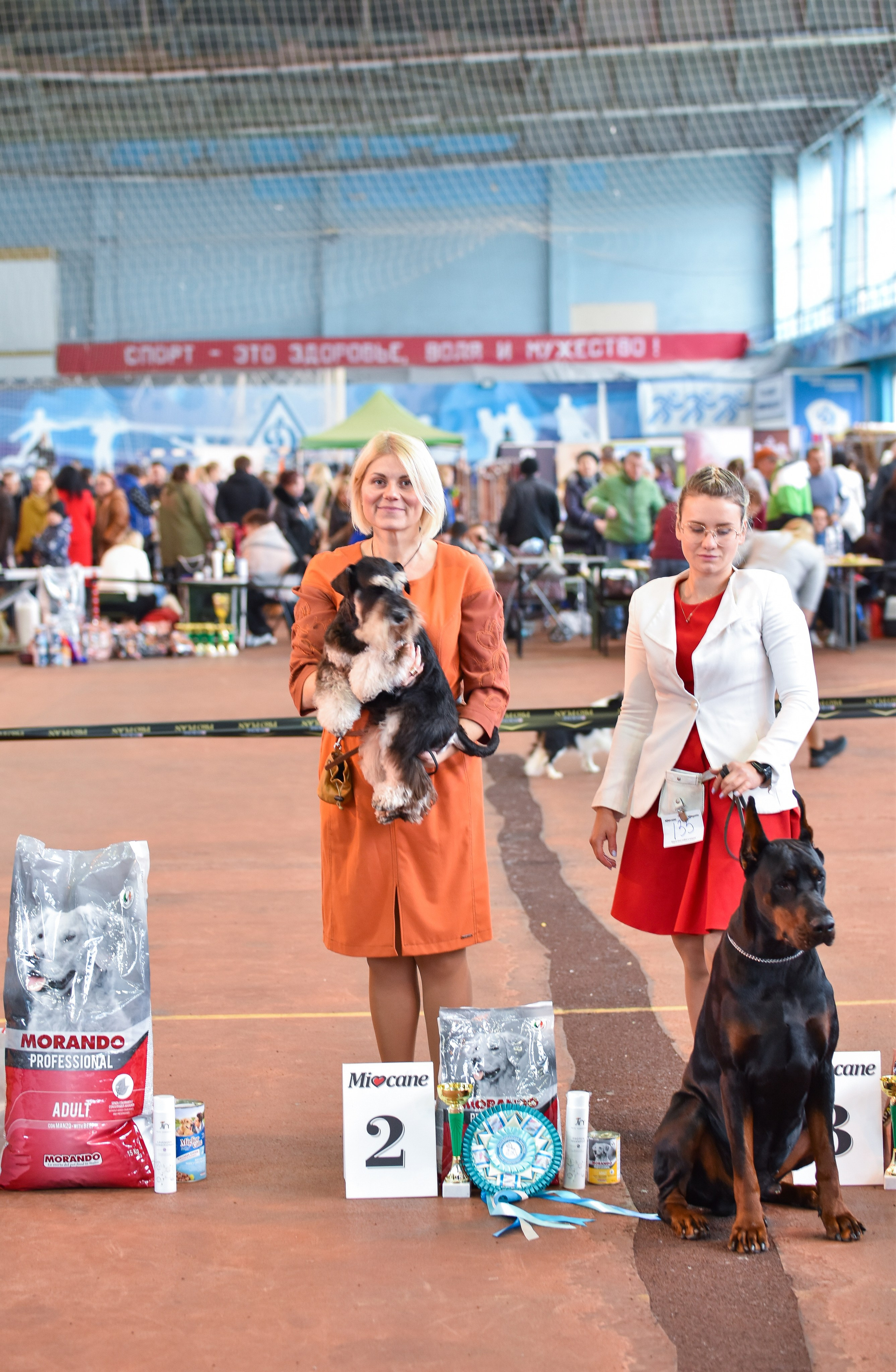 Изар/Delinso Balance Izar Tesoro. Питомник цвергшнауцеров в Беларуси «Делинсо Бэлэнс»