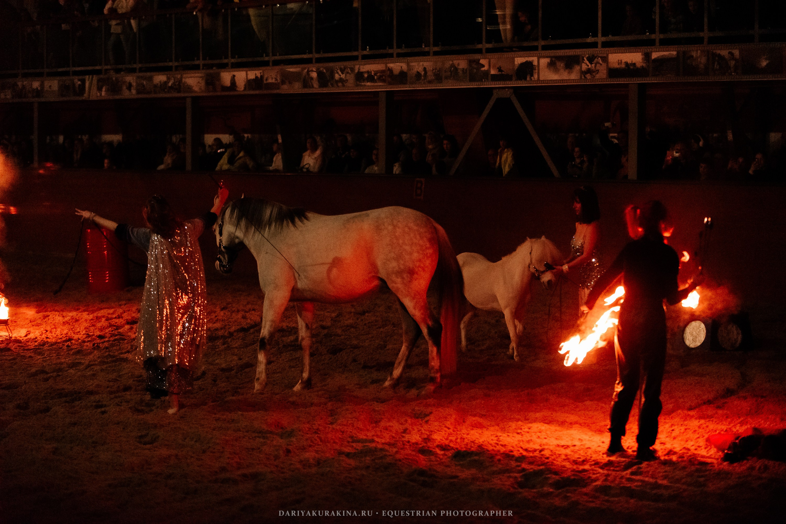 Конное представление «Дыхание Звёзд». Конный фотограф Куракина Дарья • Фотосессии с лошадьми
