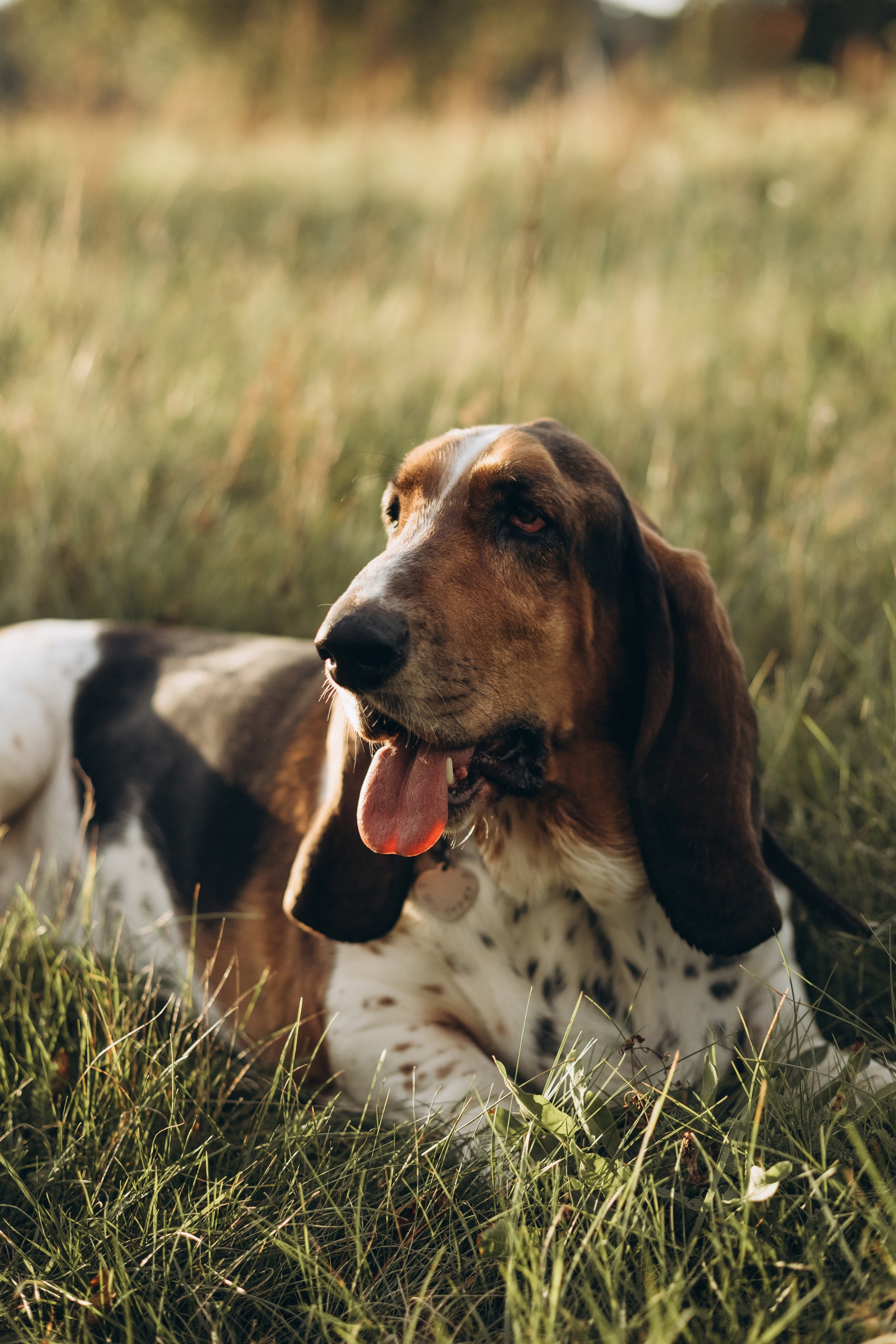 Там, где живет любовь. Семейный фотограф в Брянске Зурилина Екатерина