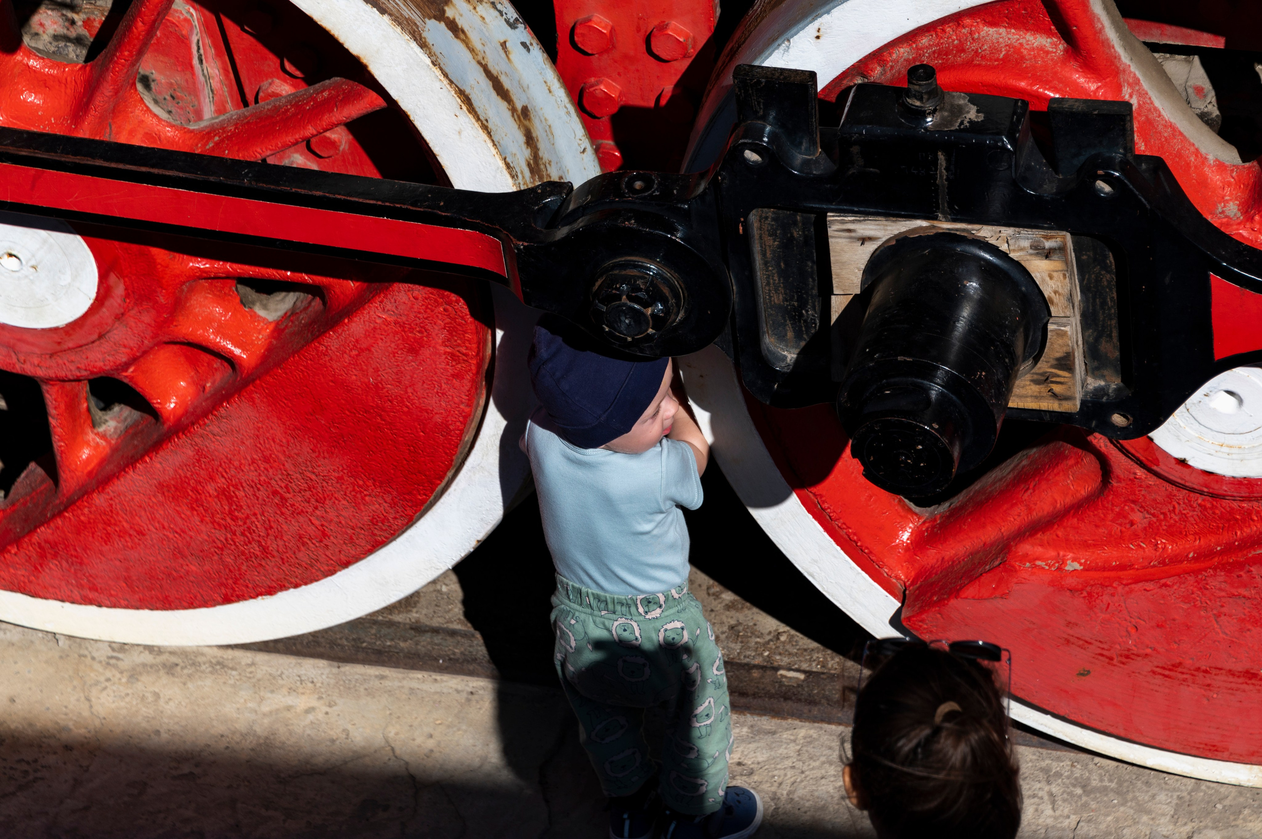 Волгоград. Сентябрь 2023. Фотограф Роман Адлер