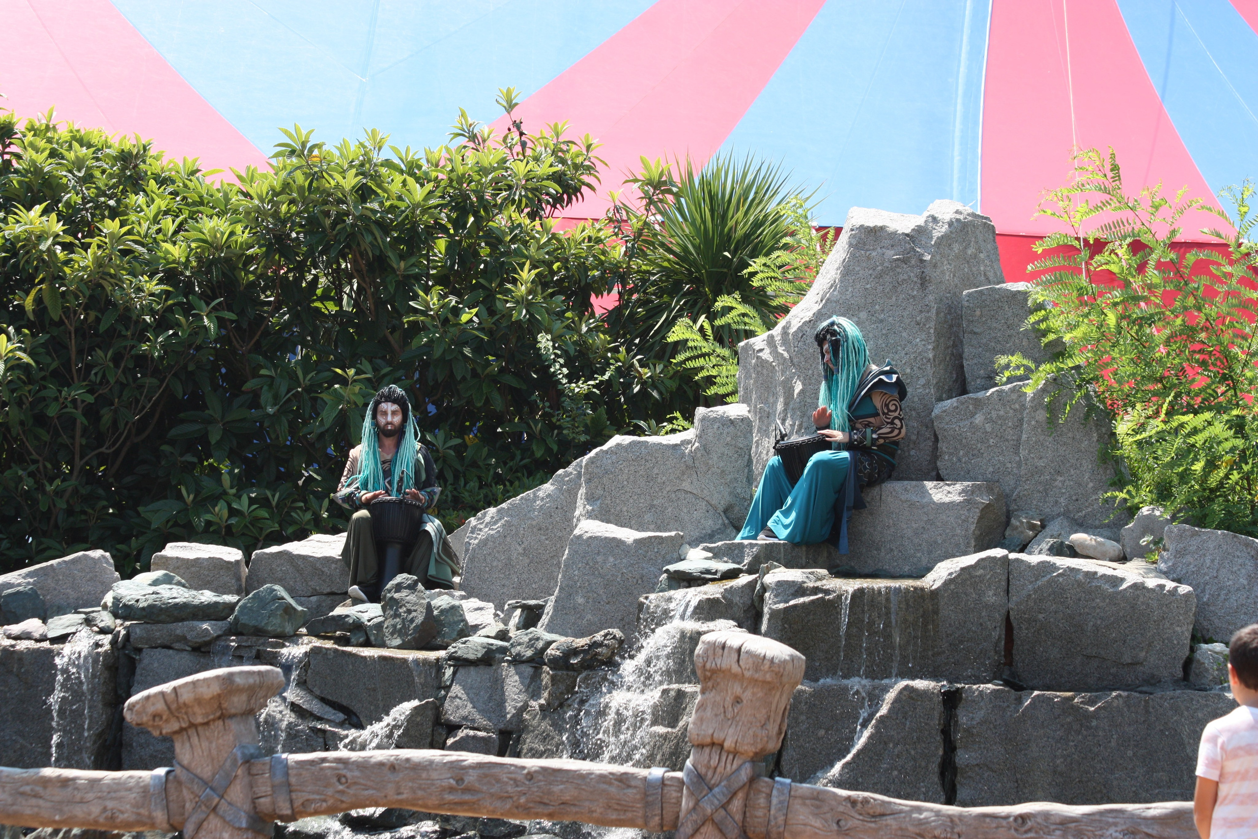 Первые кадры. Сочи — парк. Фотограф Роман Адлер