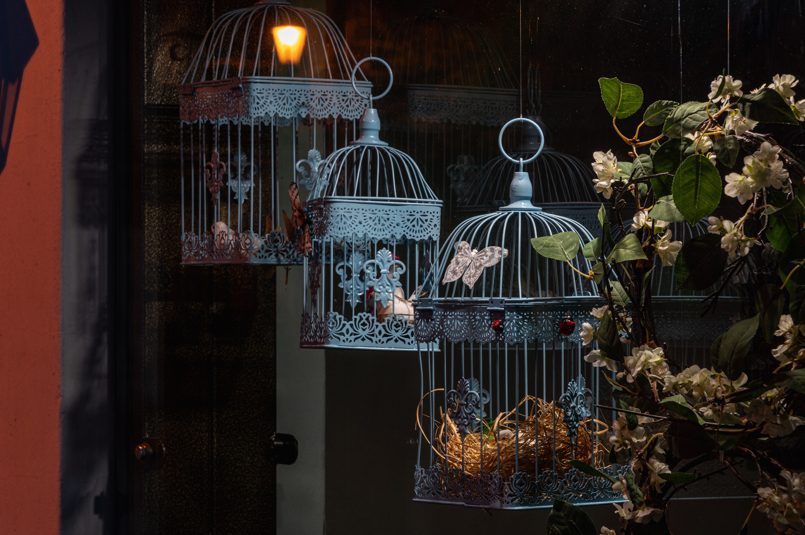 Суздаль. Май 2023. Фотограф Роман Адлер